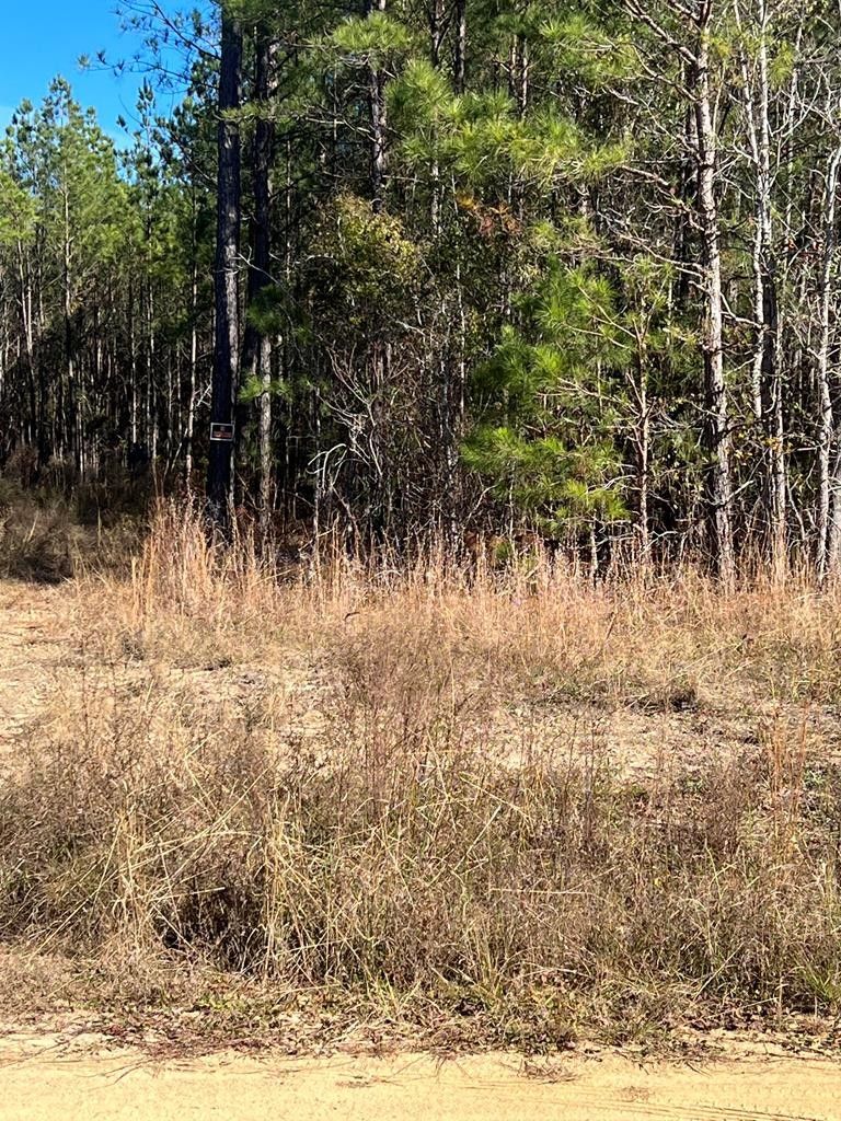 10.37 Acres, Lot 23 Coleman Chapel Rd, Bartow, GA 30413 Land and Farm