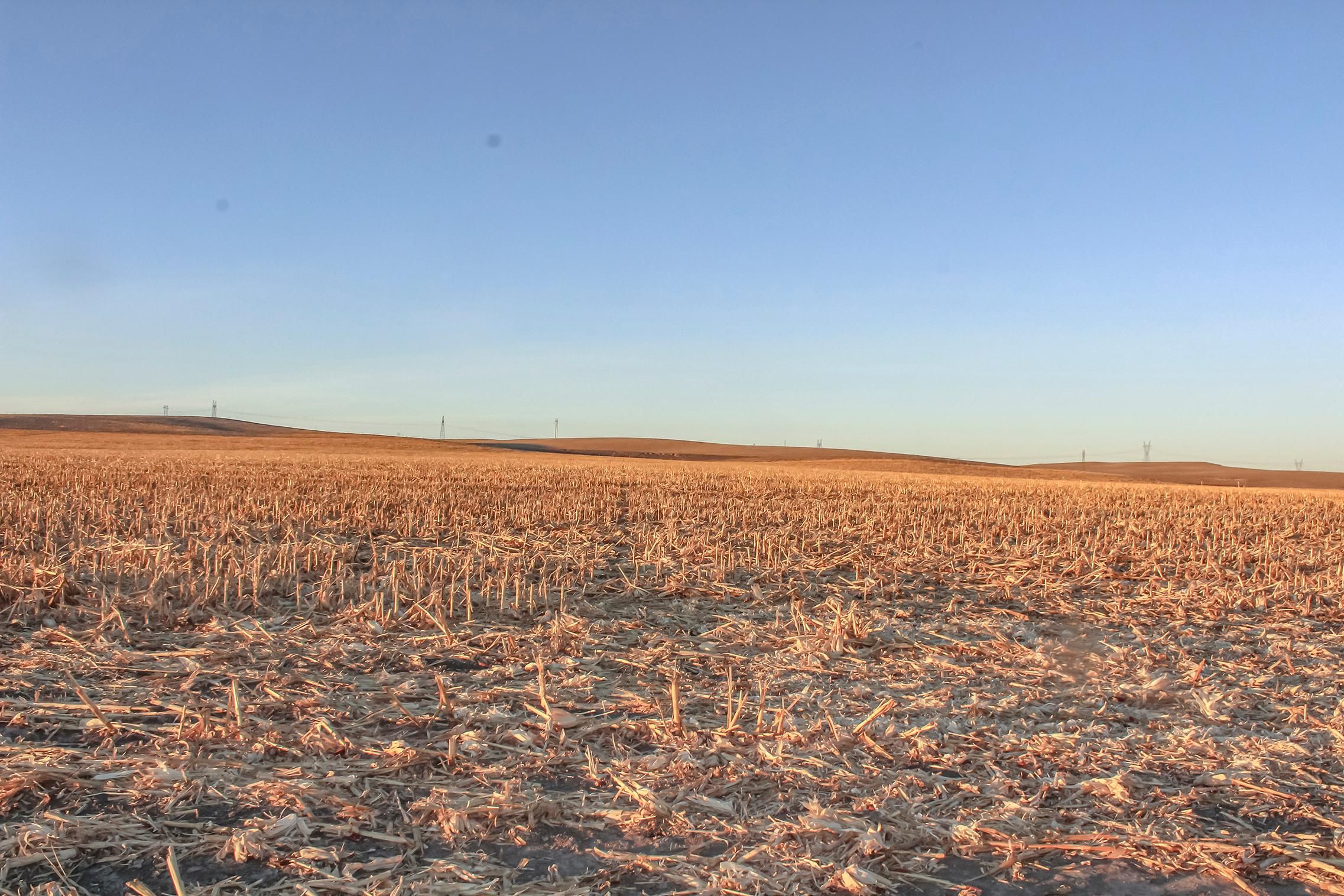 186.95 Acres, Brule, NE 69127 Land and Farm