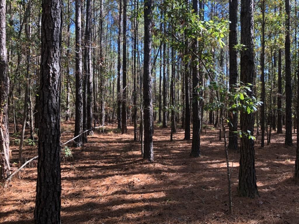 32.51 acres in Cuthbert, GA, 39840 MLS Smith Tract Land and Farm
