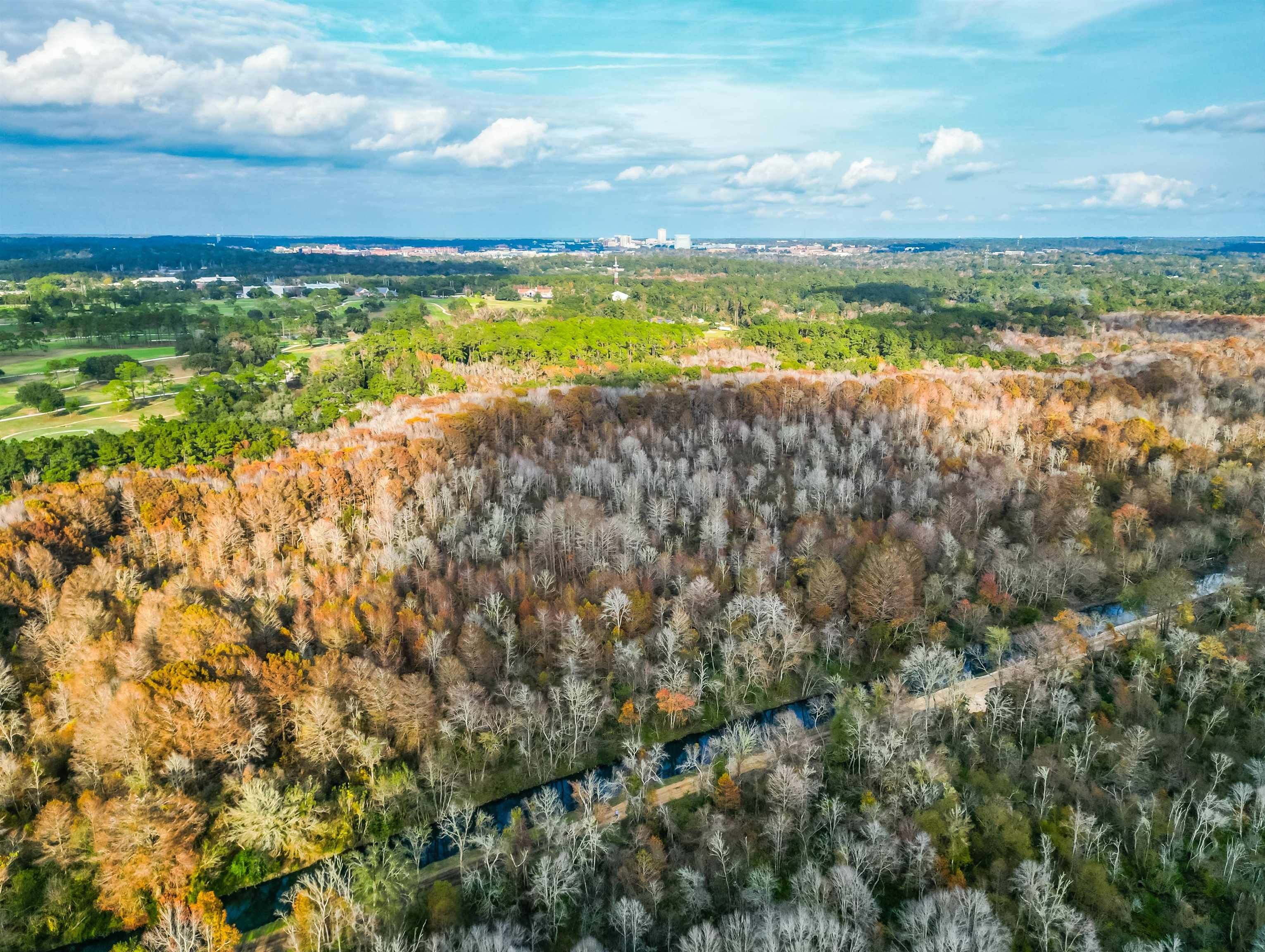 16.6 Acres, 0 Lake Bradford Road, Tallahassee, FL 32310 Land and Farm