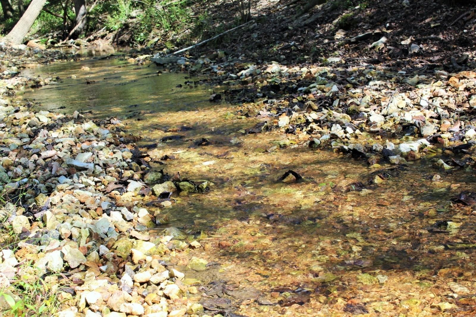 141 Acres, Carlin Ridge Rd Pineville, MO 64856, Pineville, MO 64856