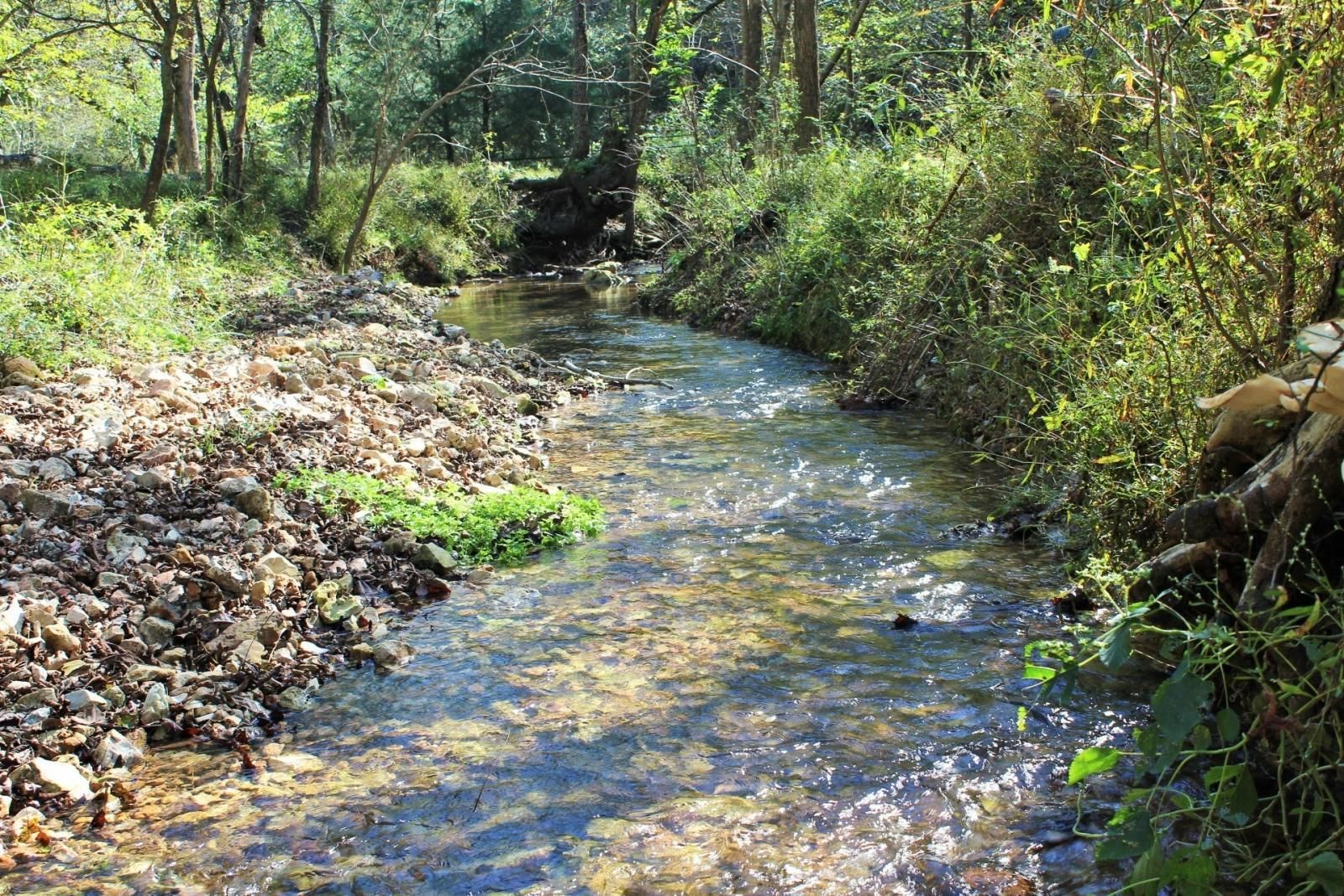 151 Acres, Carlin Ridge Rd Pineville, MO 64856, Pineville, MO 64856