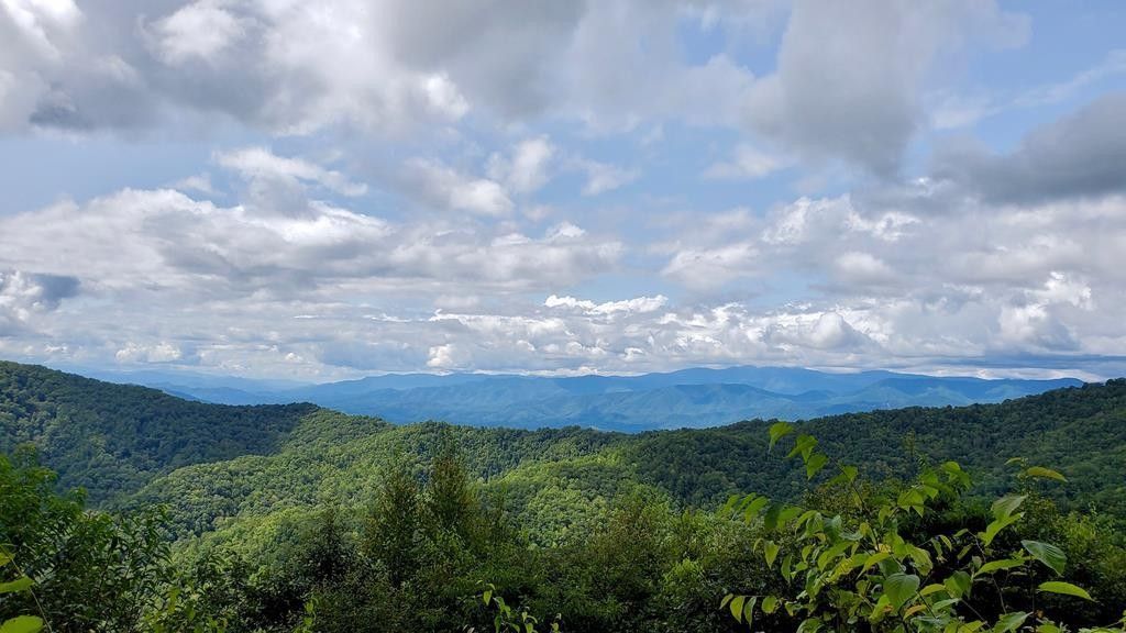 71.82 Acres, Washington Creek Road, Whittier, NC 28789 Land and Farm