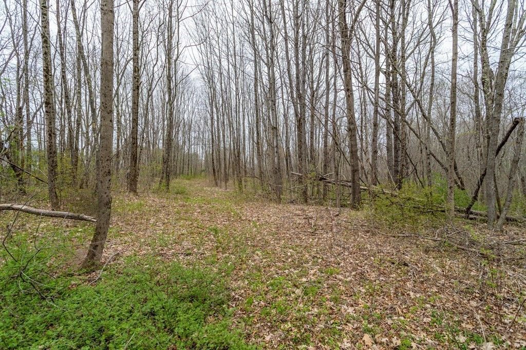 6.22 Acres, 104 New Braintree Rd, North Brookfield, MA 01535 Land and