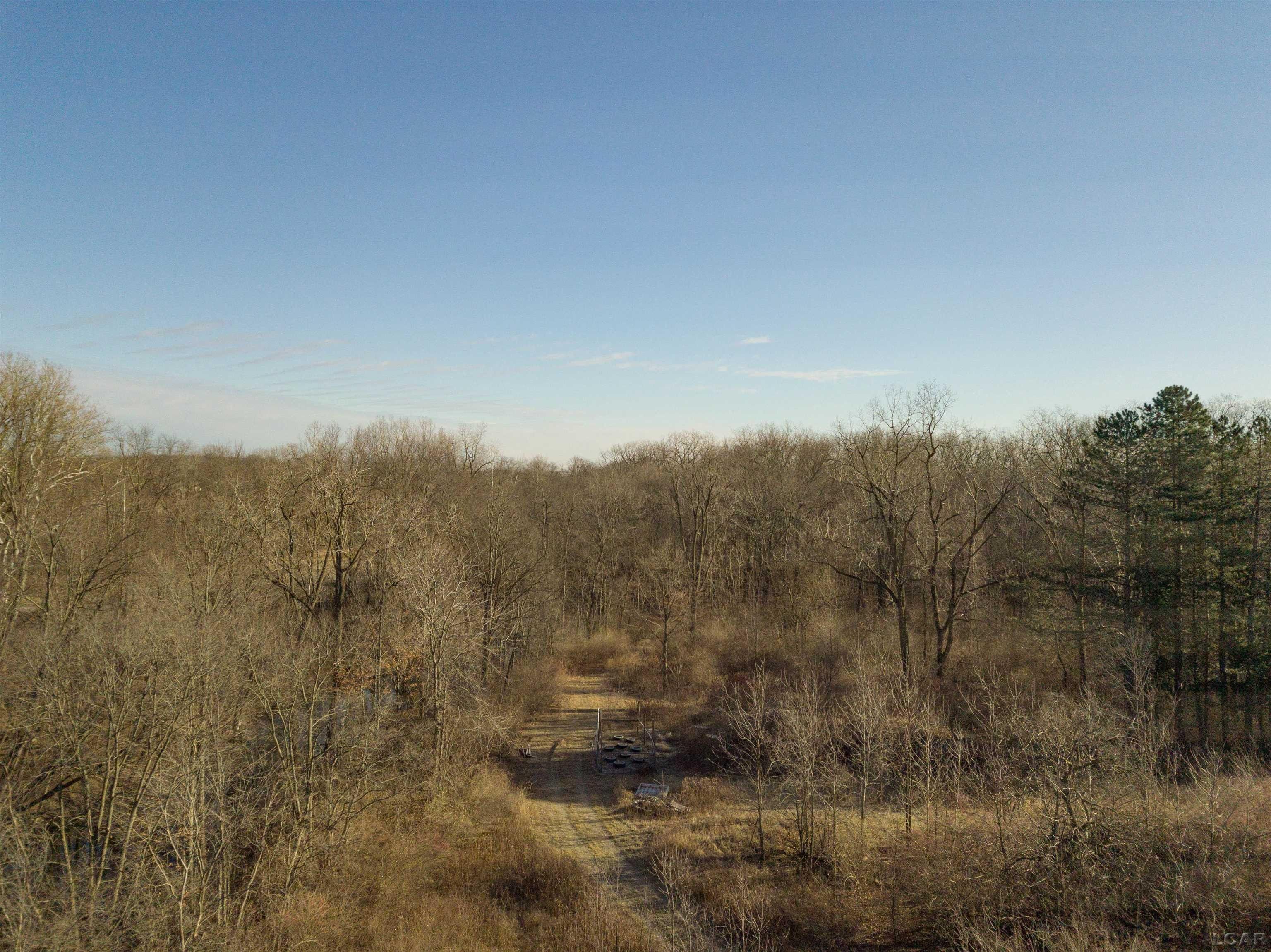 28.89 Acres, 4000 Deerfield Rd, Adrian, MI 49221 Land and Farm