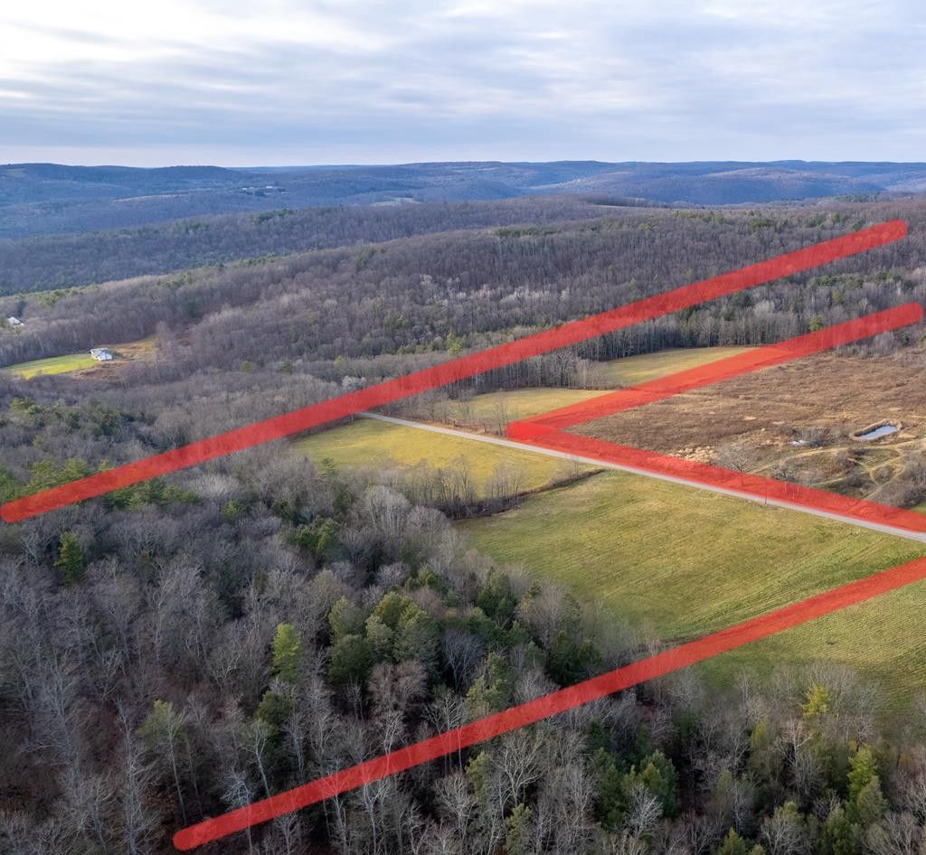 52.45 Acres, 0 Oxbow Rd, Waverly, NY 14892 Land and Farm