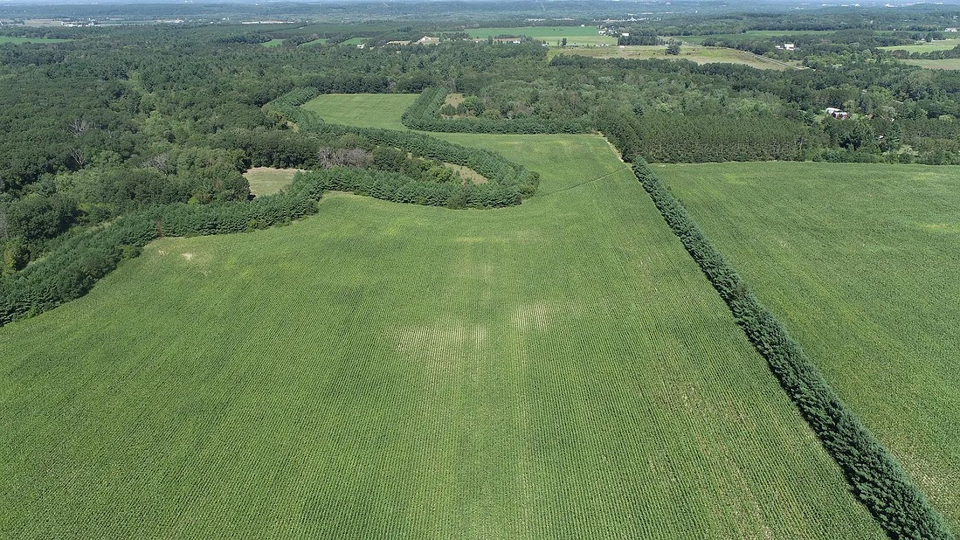 55 Acres, 0 Hwy 37, Eau Claire, WI 54701 Land and Farm