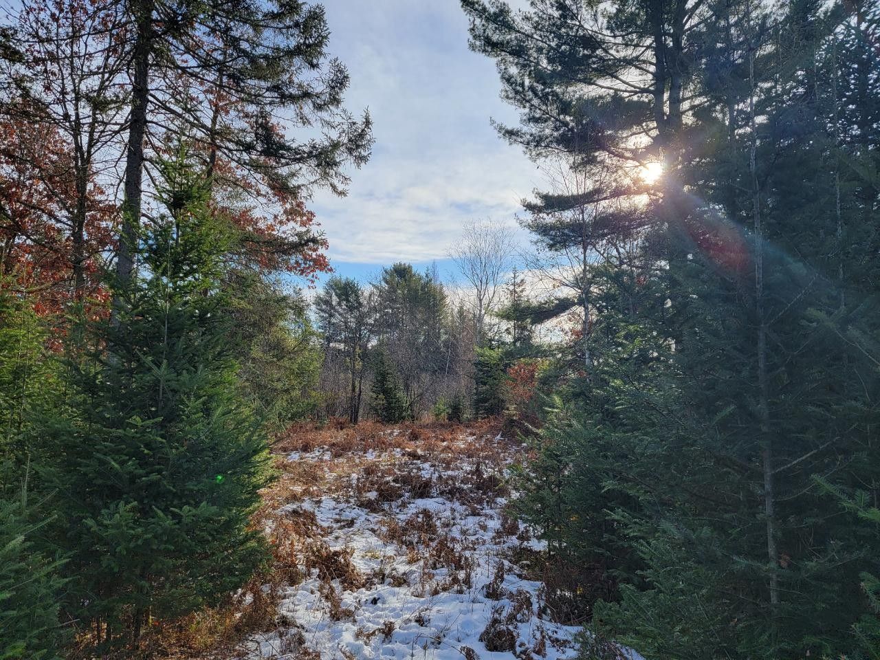 2.56 Acres, 1608 FREEDOM TR, Tomahawk, WI 54487 Land and Farm