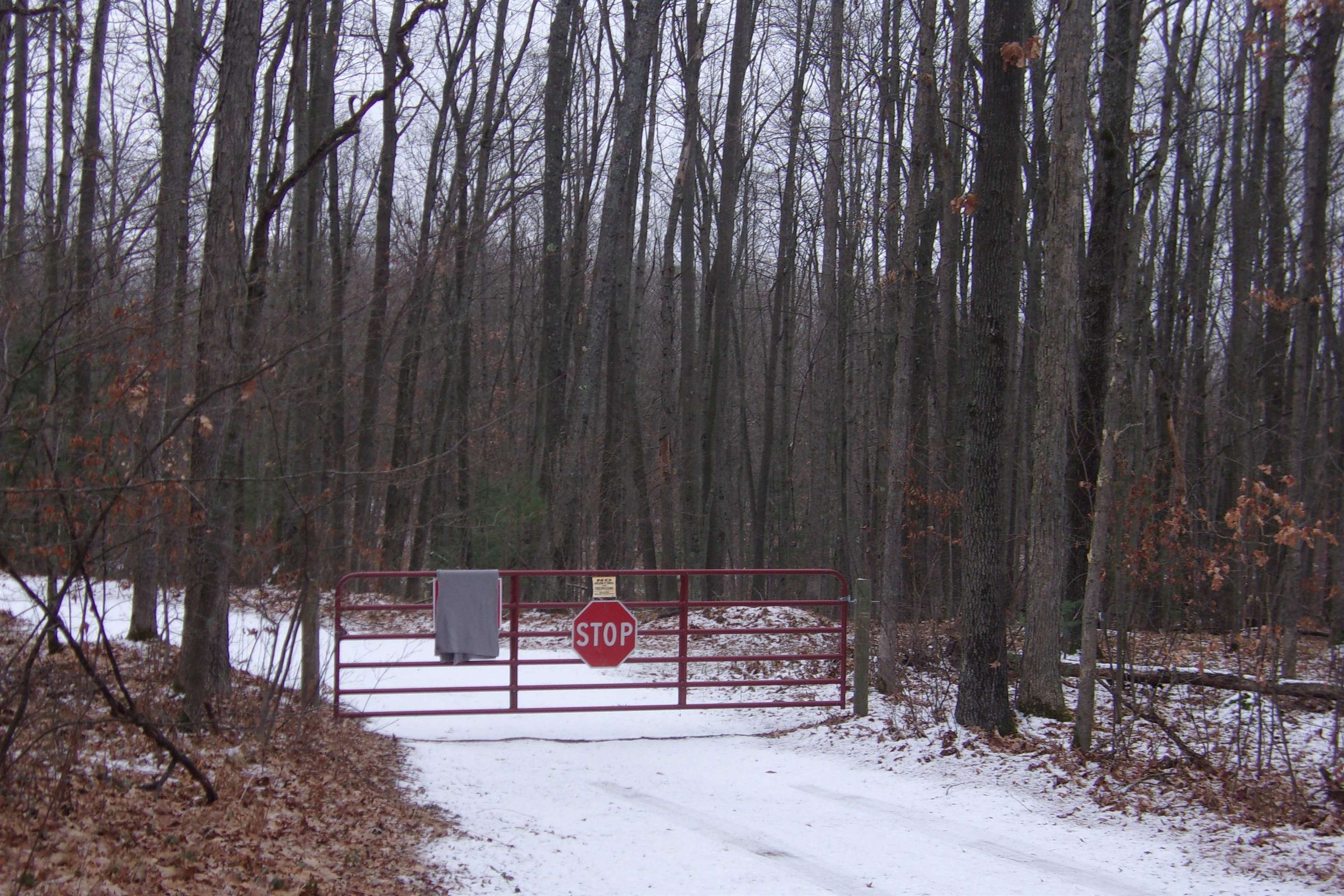 20 Acres, TBD Bringold, Lake MI 48633 Land and Farm