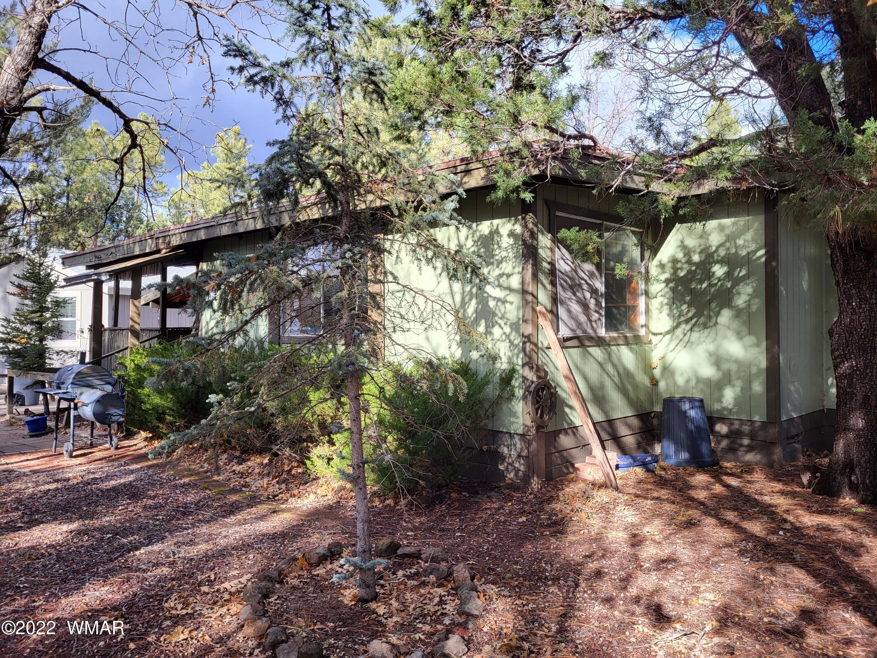 0.17 Acres, 1246 E White Tail, AZ 85935 Land and Farm