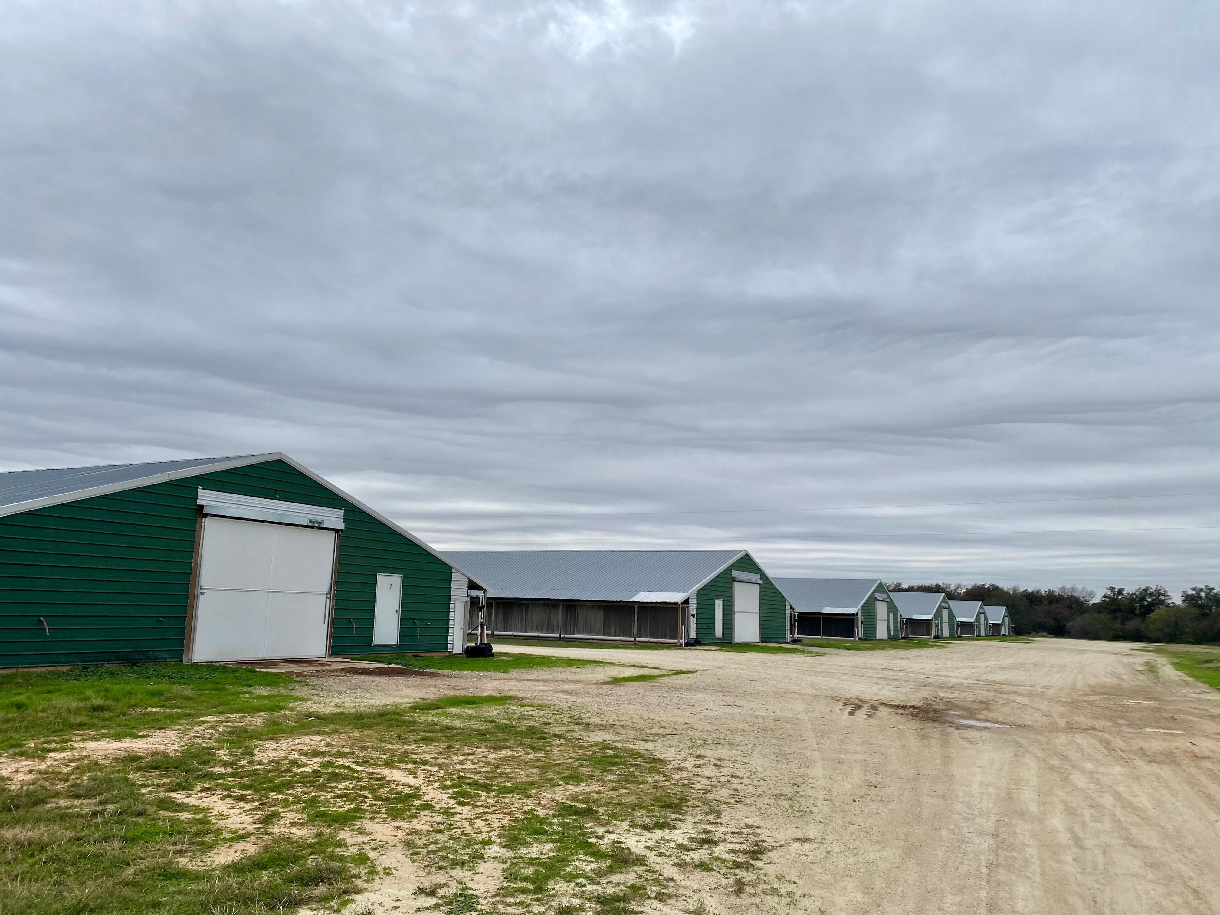 98 acres in Calvert, TX, 77837 Land and Farm