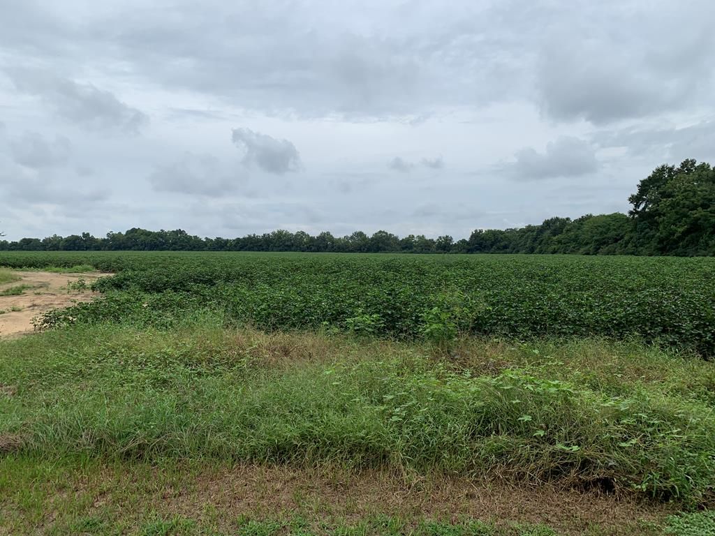 61.46 Acres, 4518 Headland, Dothan, AL 36303 Land and Farm