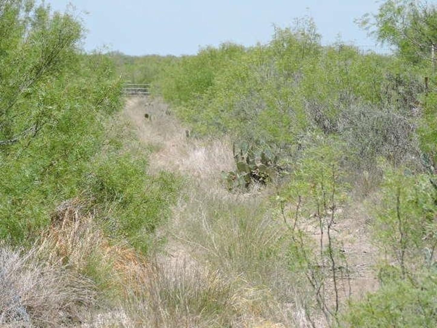 1.08 Acres, Laredo, TX 78043 Land and Farm
