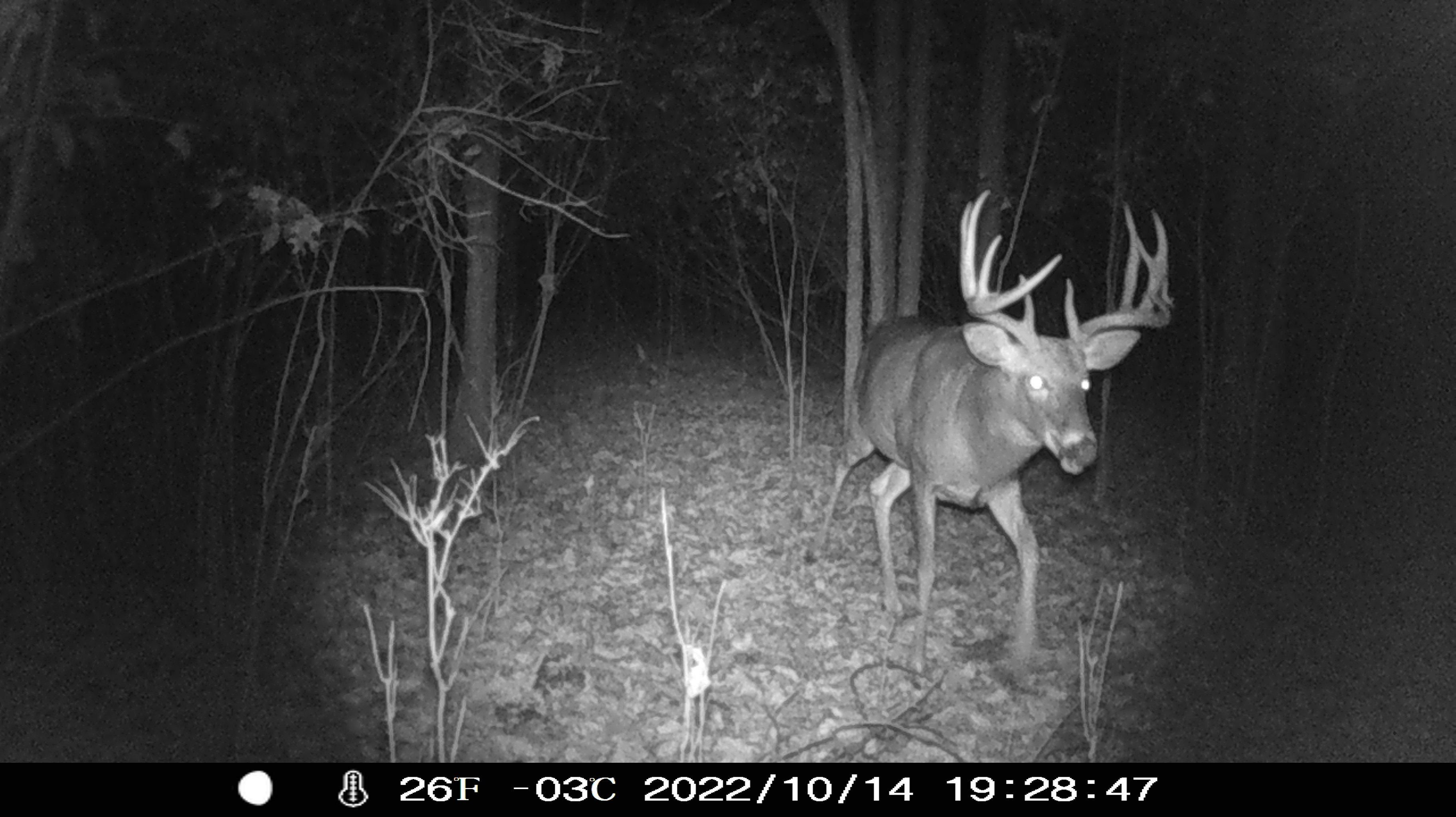 77 Acres, County Hwy W, Union Center, WI 53962 Land and Farm