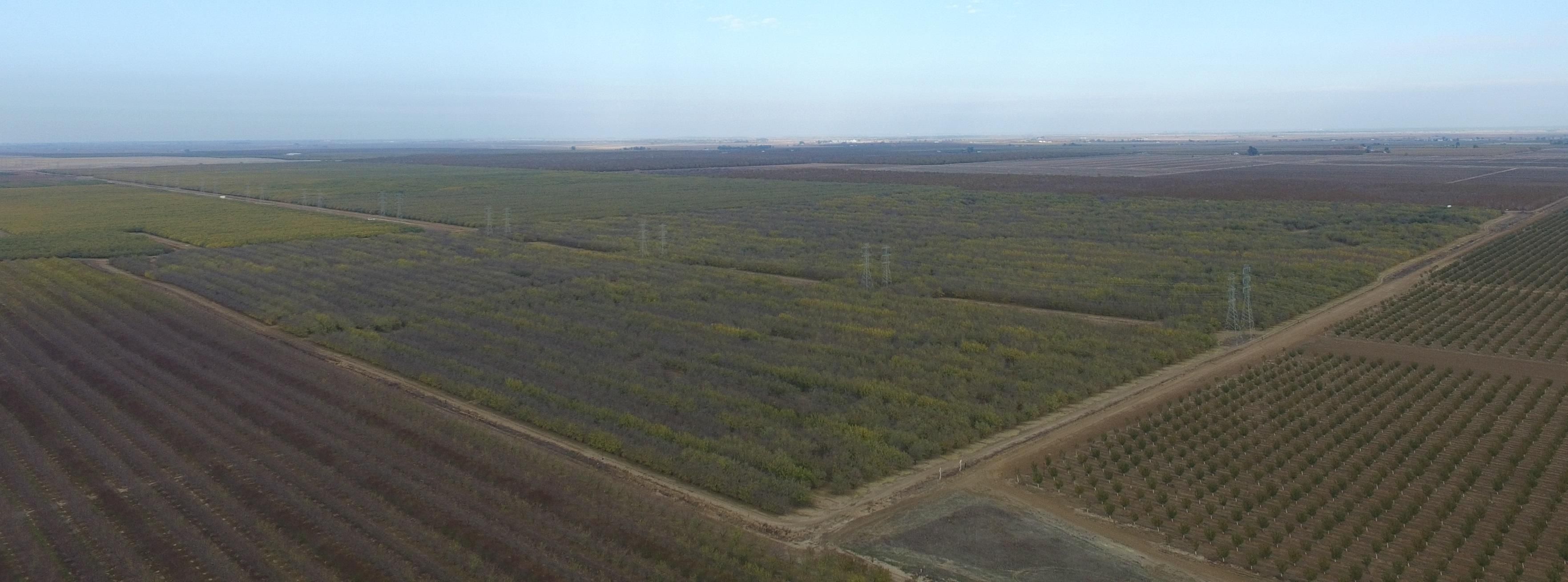 00 Danley Road, Maxwell, CA 95955 Land and Farm