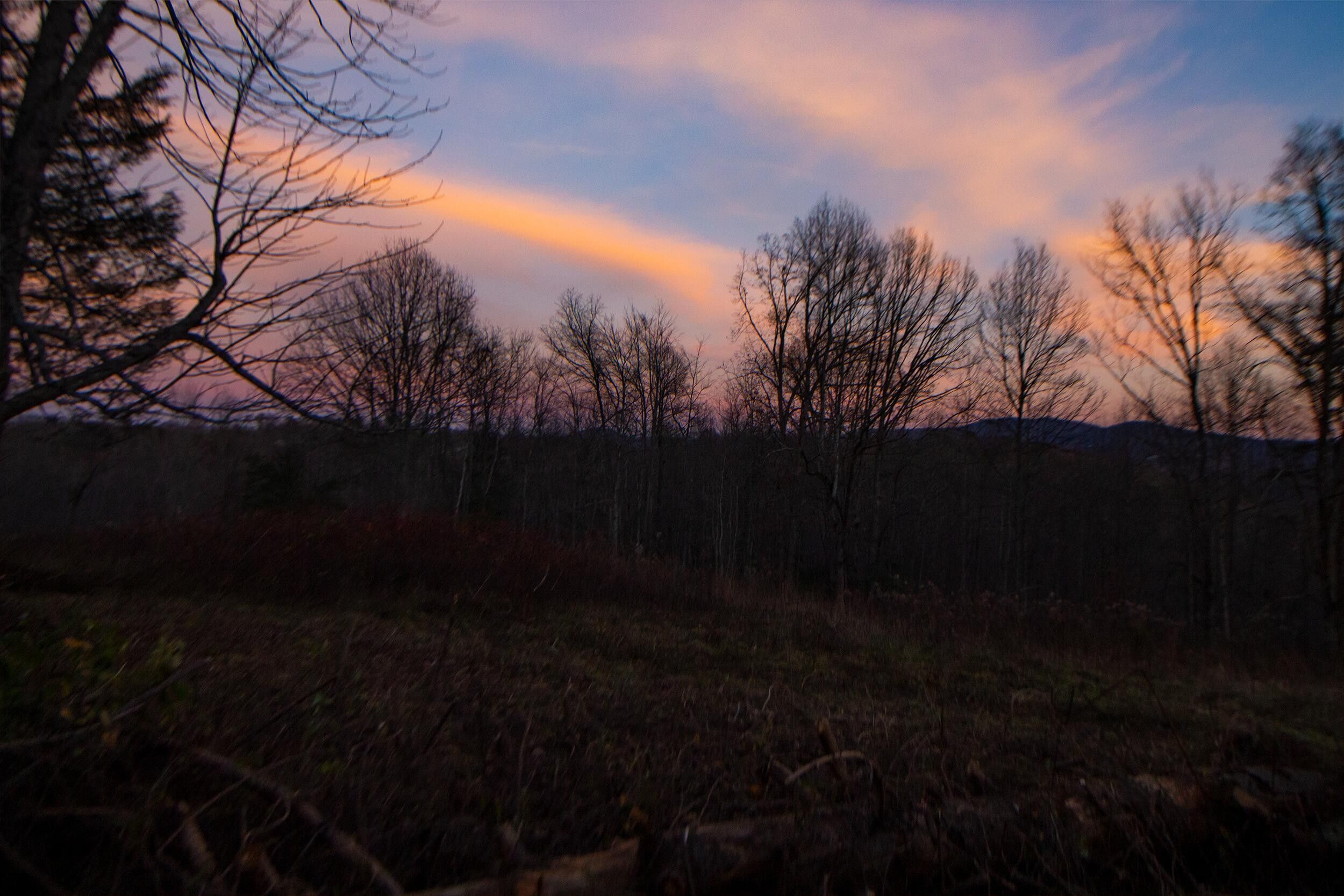 19.18 Acres, 643 Edd Stephens Road, Pine Knot, KY 42635 Land and Farm