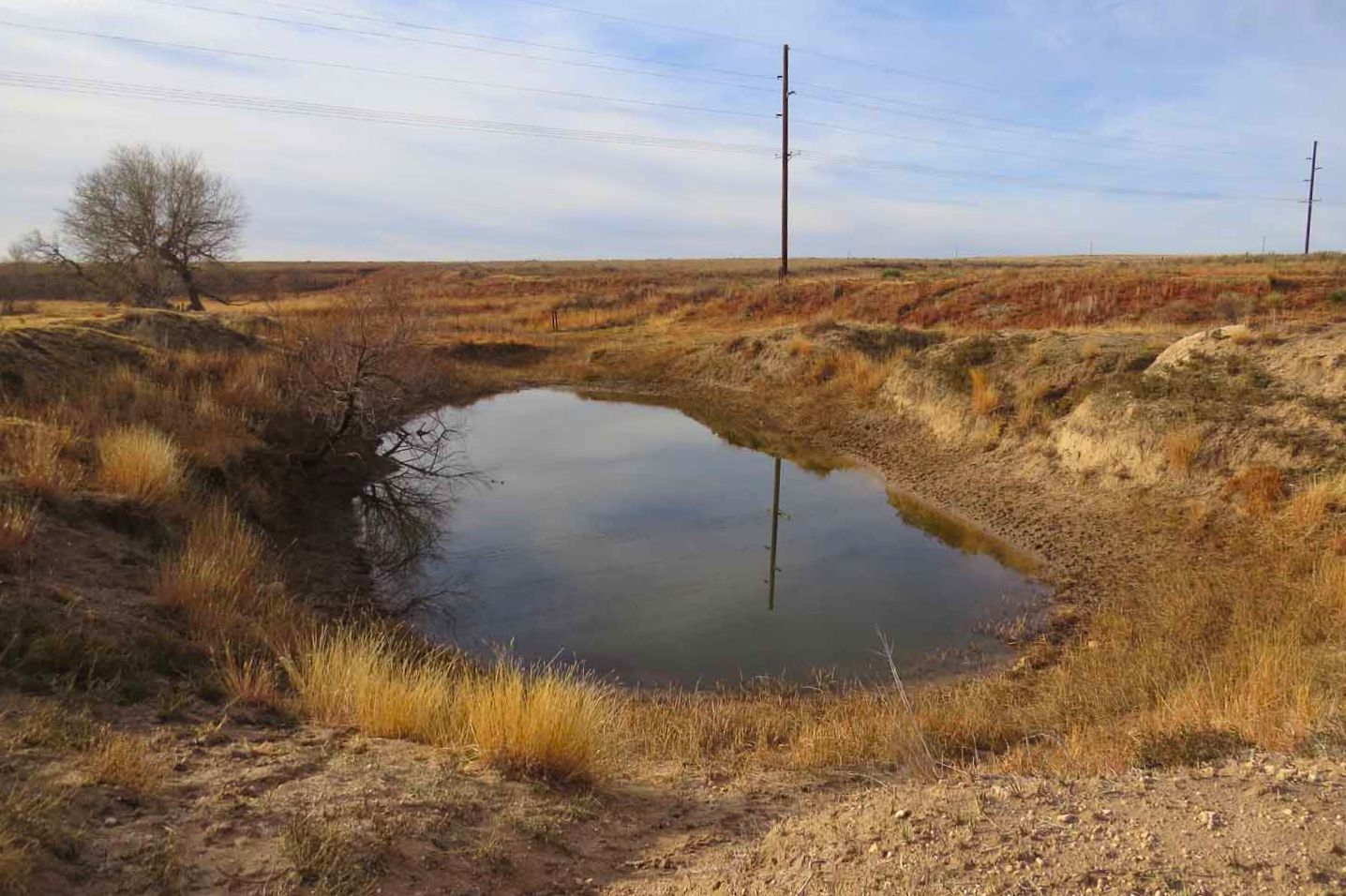 480 Acres, Darrouzett, TX 79024 Land and Farm