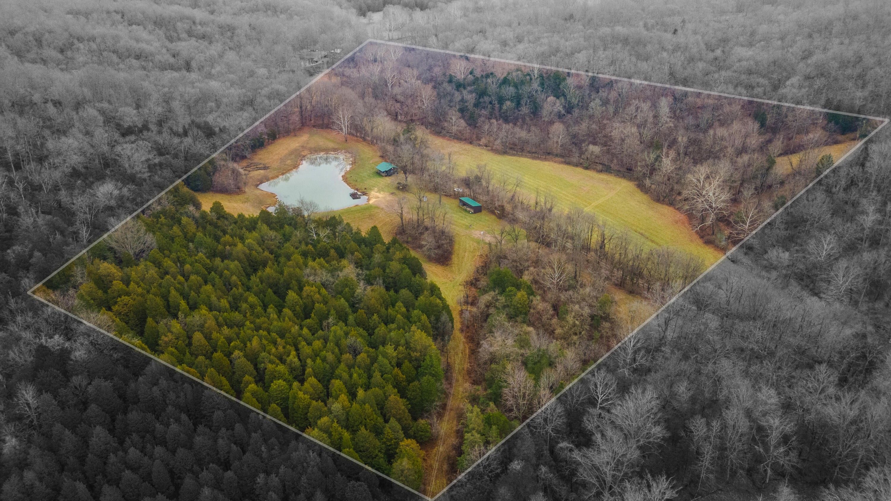 40 Acres, 517 KY Hwy 1992, Warsaw, KY 41095 Land and Farm