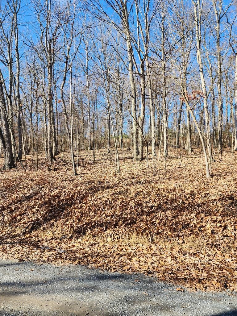 2.7 Acres, Lot 14 Raystown Reach, Huntingdon, PA 16652 Land and Farm