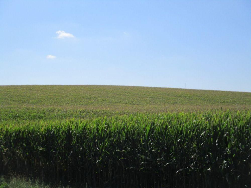 480 Acres, Pleasanton, NE 68866 Land and Farm