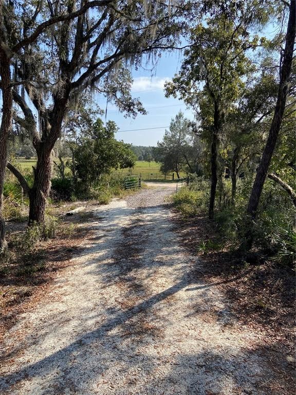12.25 Acres, 7751 JEWELL LANE, Lake Wales, FL 33898 Land and Farm