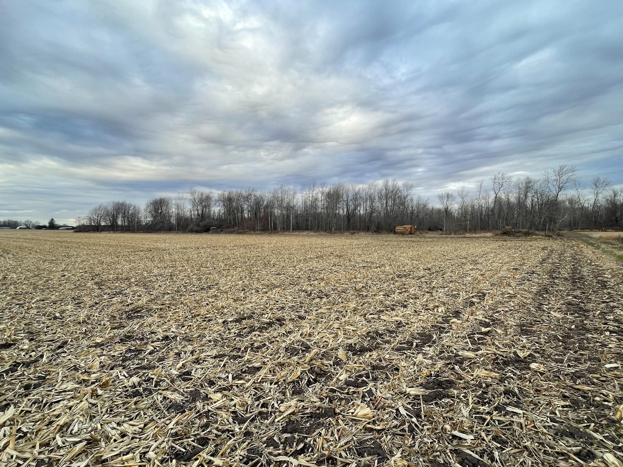 116 Acres, Russell Road, Palms, MI 48465 Land and Farm