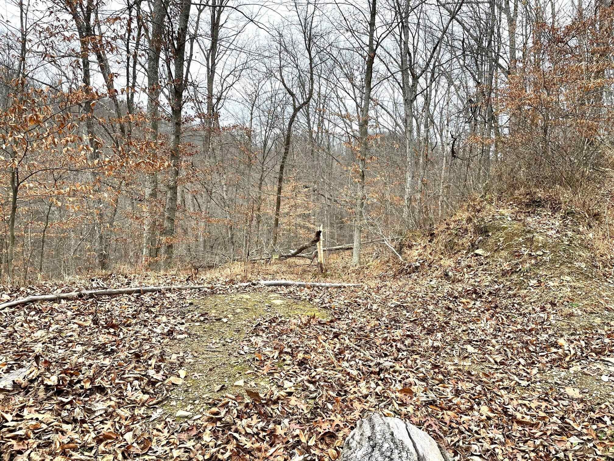 24 Acres, Left Fork Lick Creek Road, East Lynn, WV 25512 Land and Farm