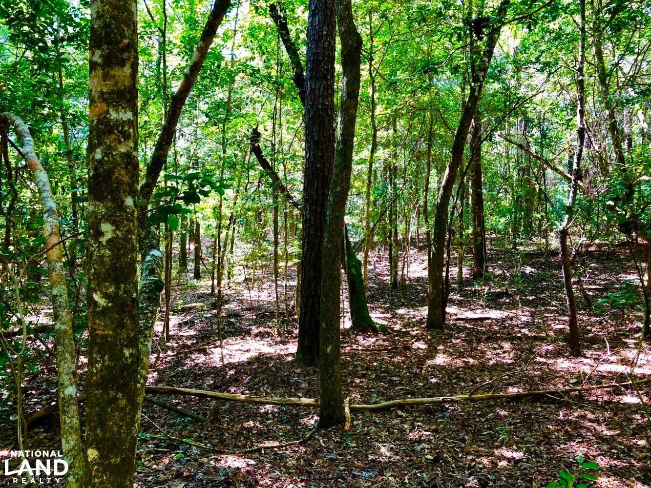 000 Gator Lane, Vancleave, MS 39565 Land and Farm