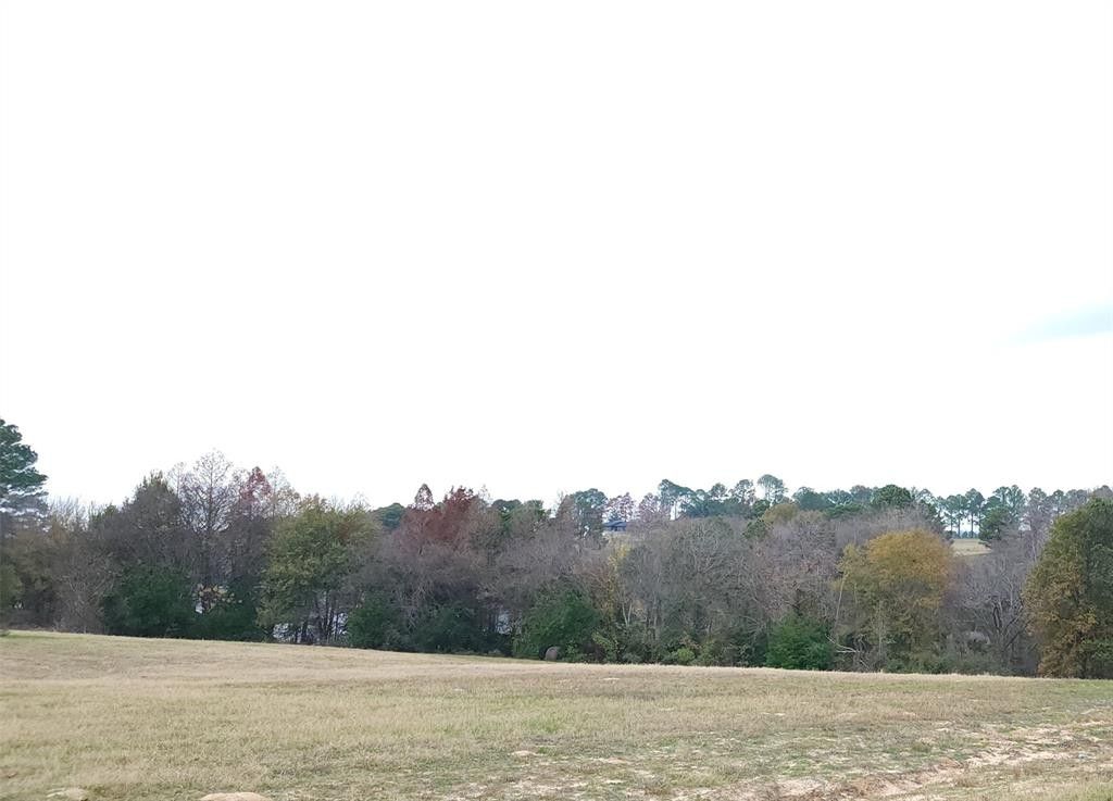 2.1 Acres, 0 Lago Vista Drive, Athens, TX 75752 Land and Farm