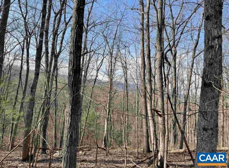 38.8 Acres, 32 MIRACLE RIDGE RD, Elkton, VA 22827 Land and Farm