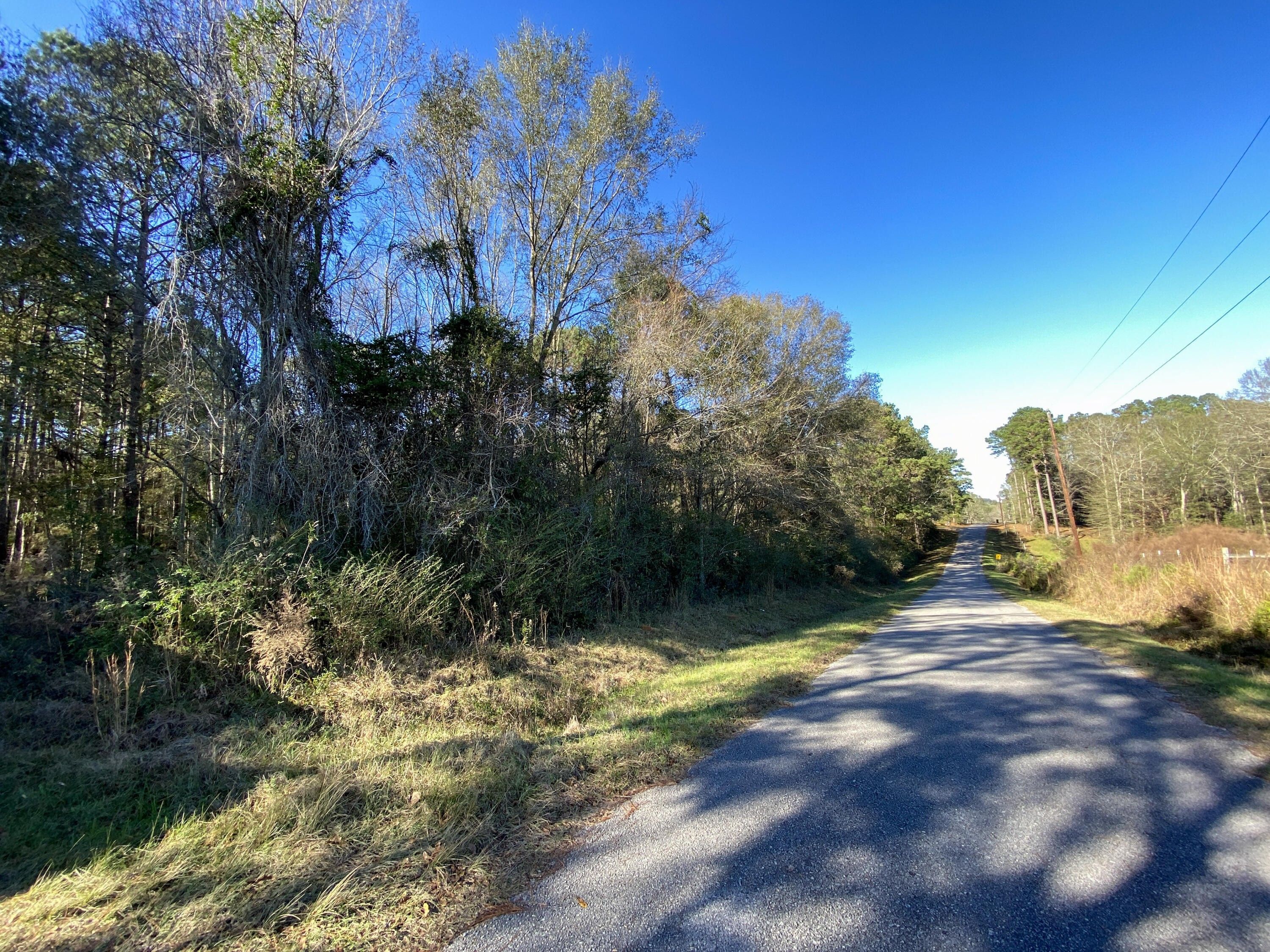 19 Acres, 19 +/ AC Johnny Sanford Rd., Seminary, MS 39479 Land and Farm