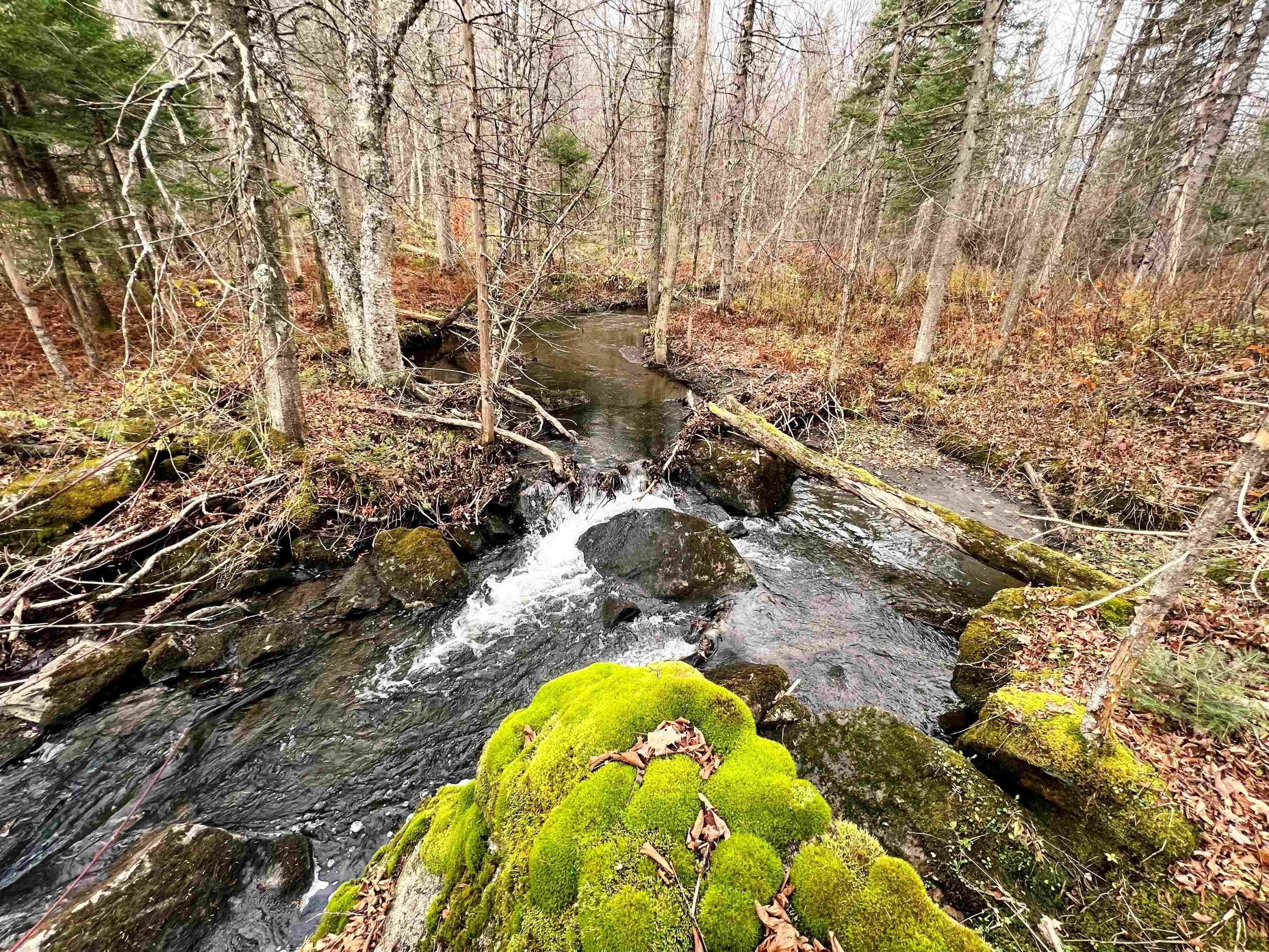 14 Acres, 973 Valley Road, VT 05853 Land and Farm