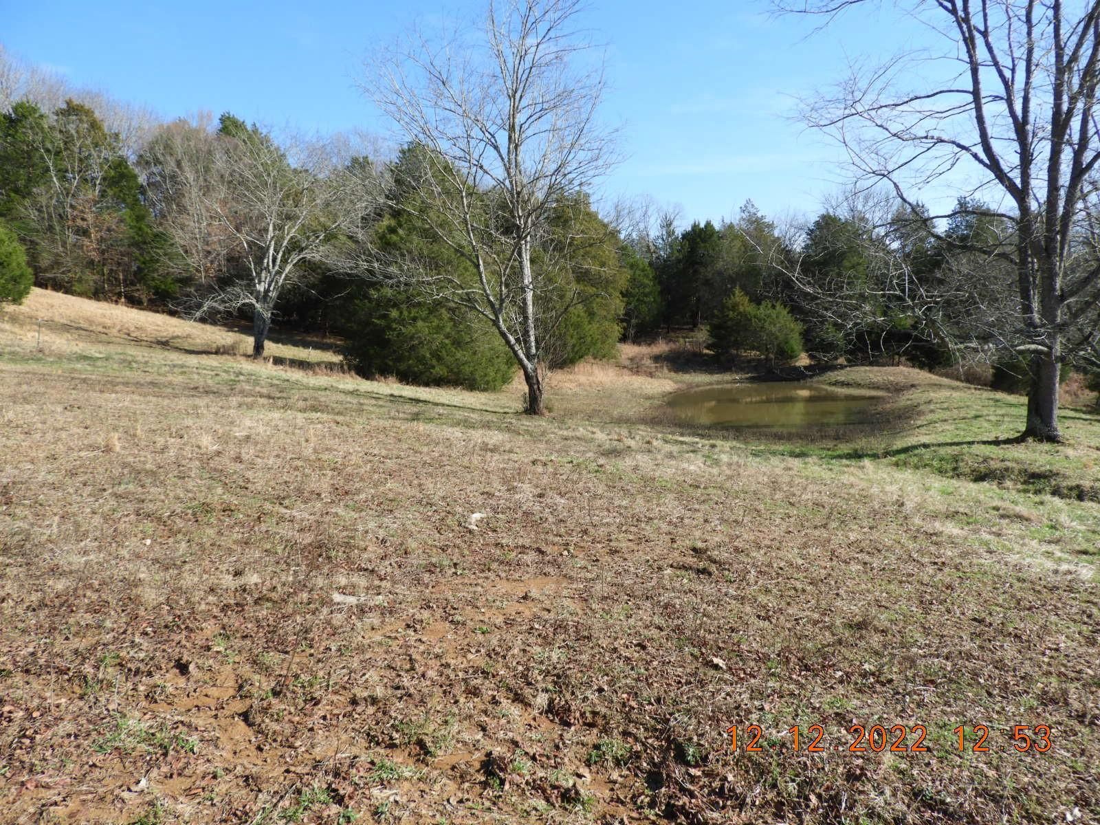 17.7 Acres, 2040 Ball Hollow Rd, Pulaski, TN 38478 Land and Farm