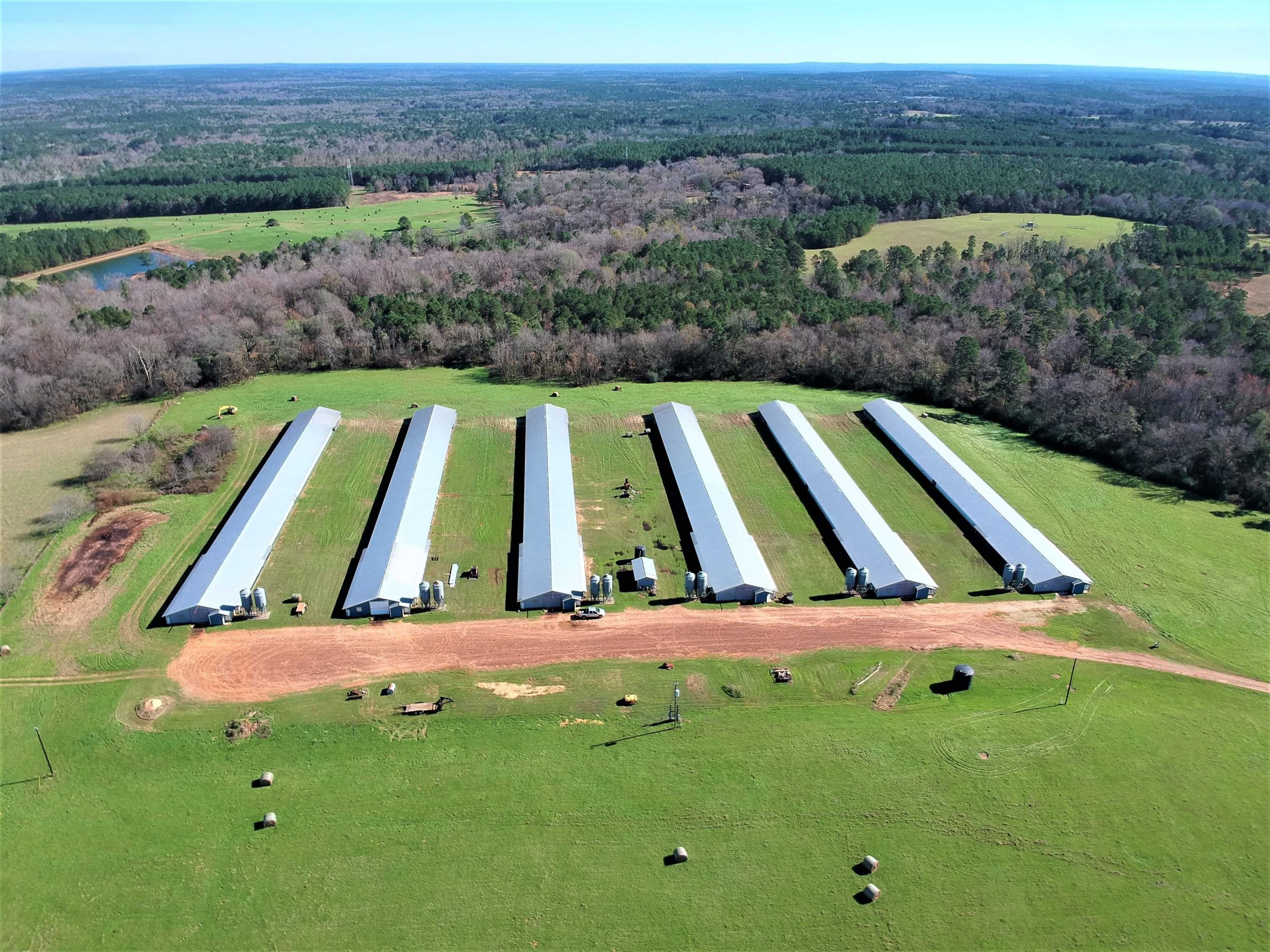 54.35 Acres, 2635 CR 3185, Mount Enterprise, TX 75681 Land and Farm