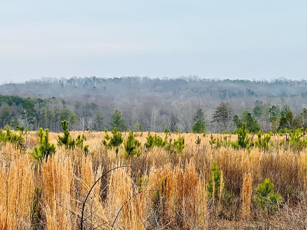 20.14 Acres, State Rt 623 Chellowe Rd, Dillwyn, VA 23936 | Land and Farm