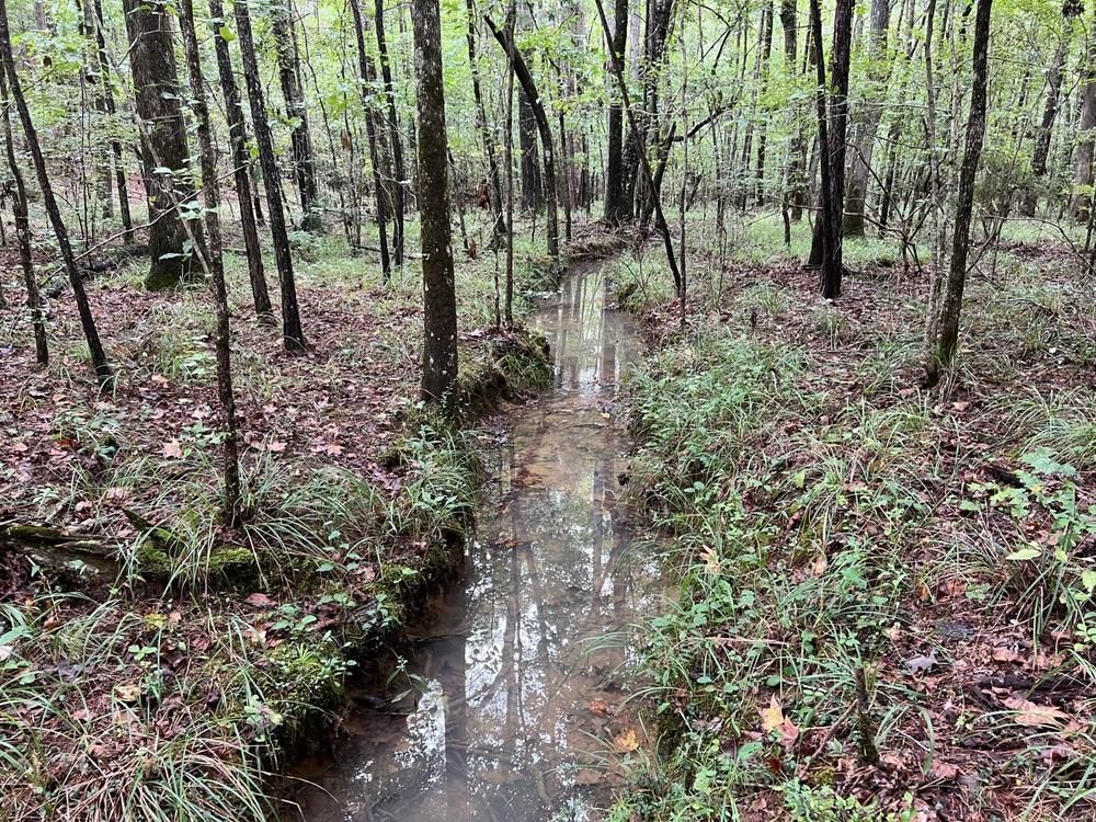 80 Acres, 0 Beeswax Landing, Columbiana, AL 35051 Land and Farm