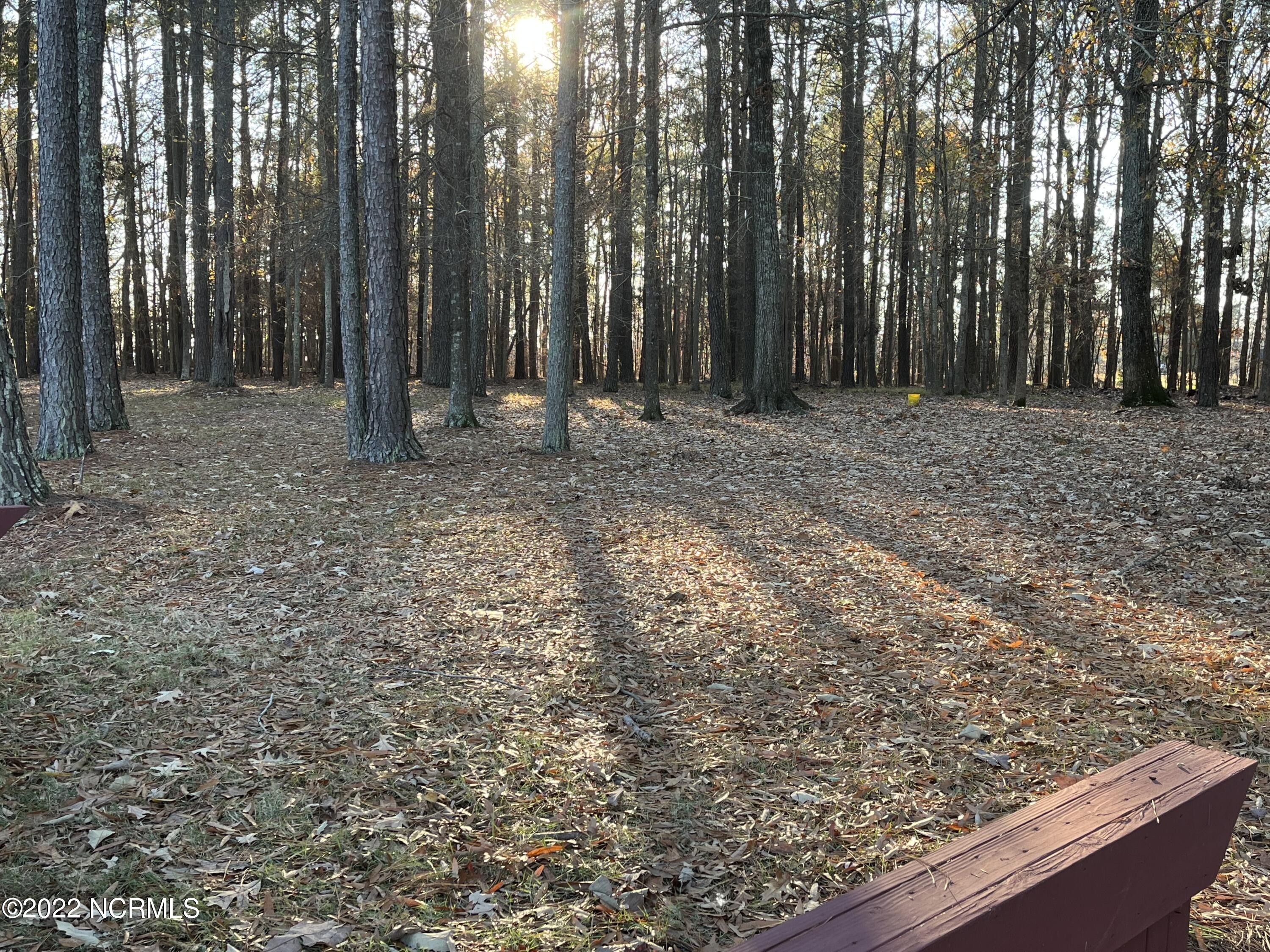 1.12 Acres, Lots 5862 Tranquility Lane, Hertford, NC 27944 Land and Farm