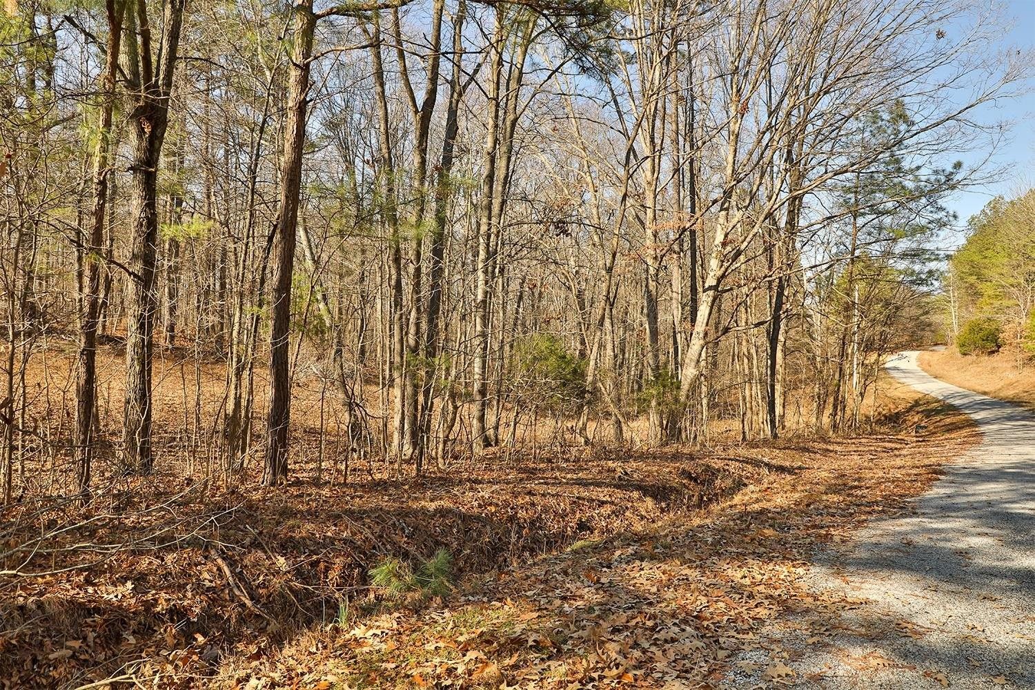 13.32 Acres, 1691 King Rd., Palmersville, TN 38241 Land and Farm