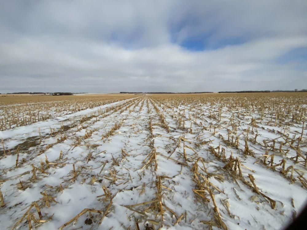 313.14 acres in Elgin, NE, 68636 Land and Farm