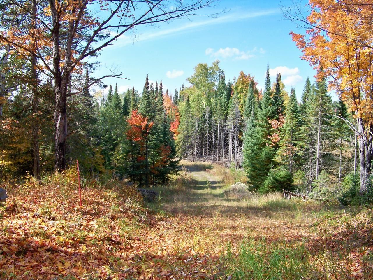 5.1 Acres, Lot 10 EAGLE RIDGE LN, Presque Isle, WI 54557 Land and Farm