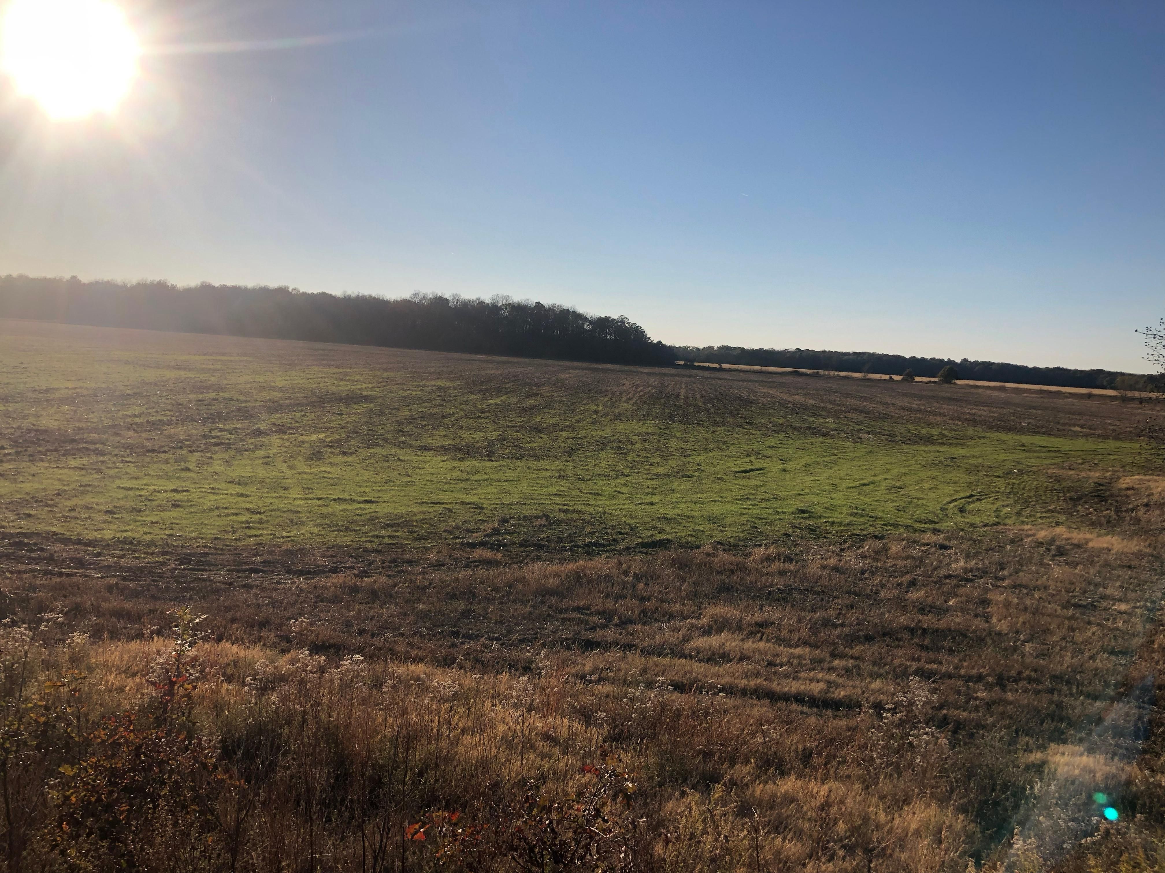 85 acres in Fisher, AR, 72429 Land and Farm