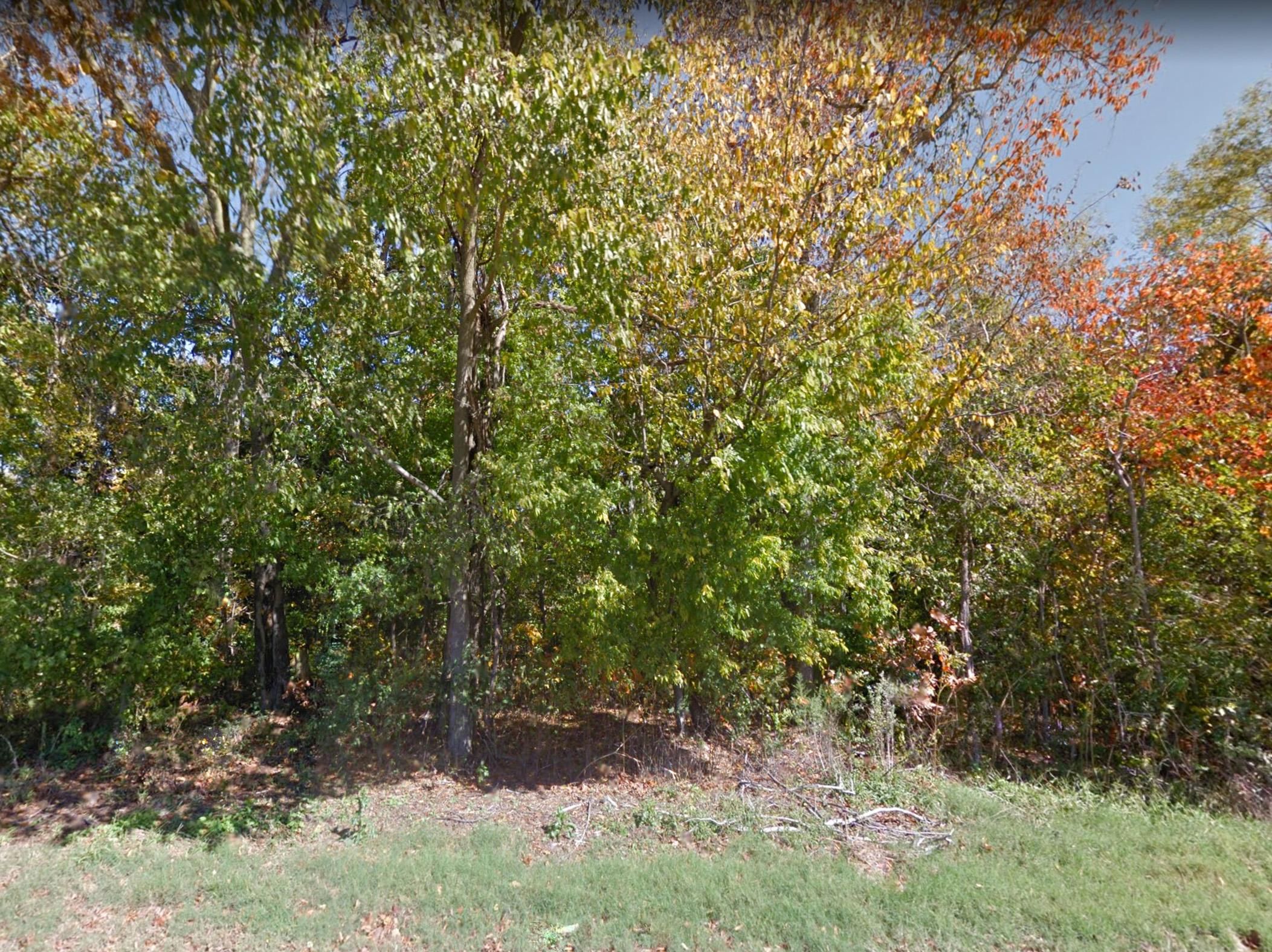 9 Acres, Pryor Road, Drummonds, TN 38023 Land and Farm