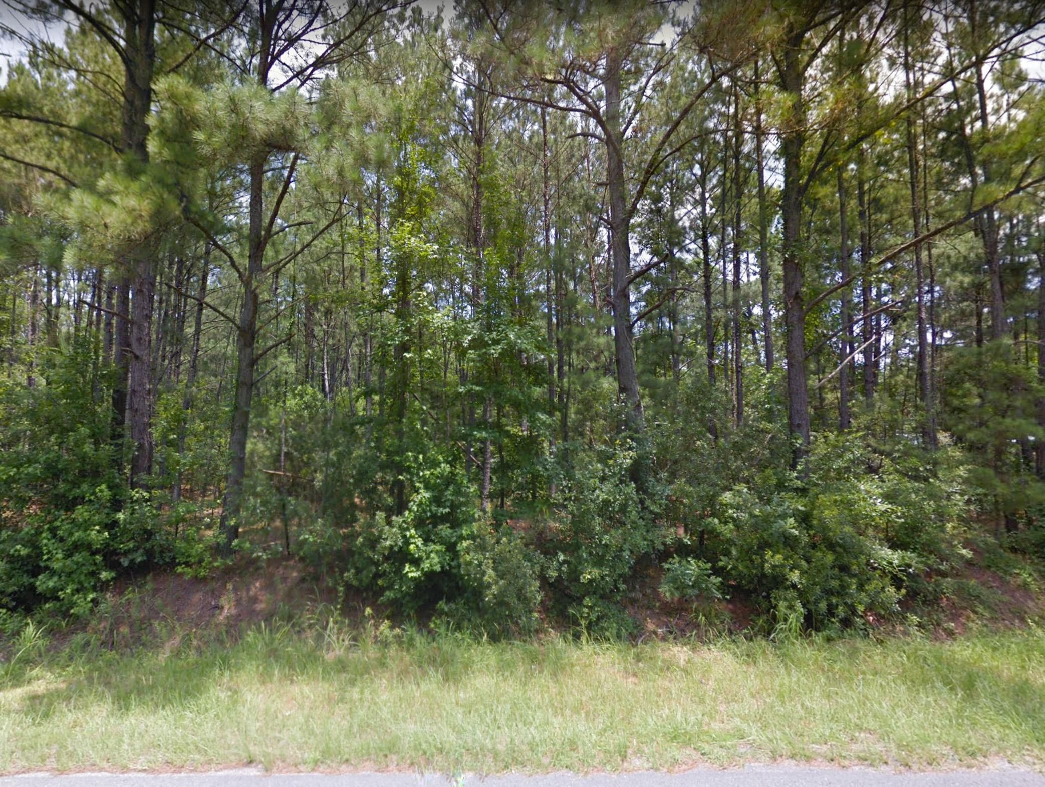 32.16 Acres, Clover Hill Road, Green Pond, SC 29446 Land and Farm