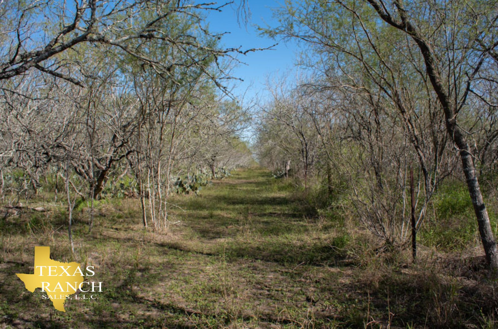 40 acres in Kenedy, TX, 78119 Land and Farm