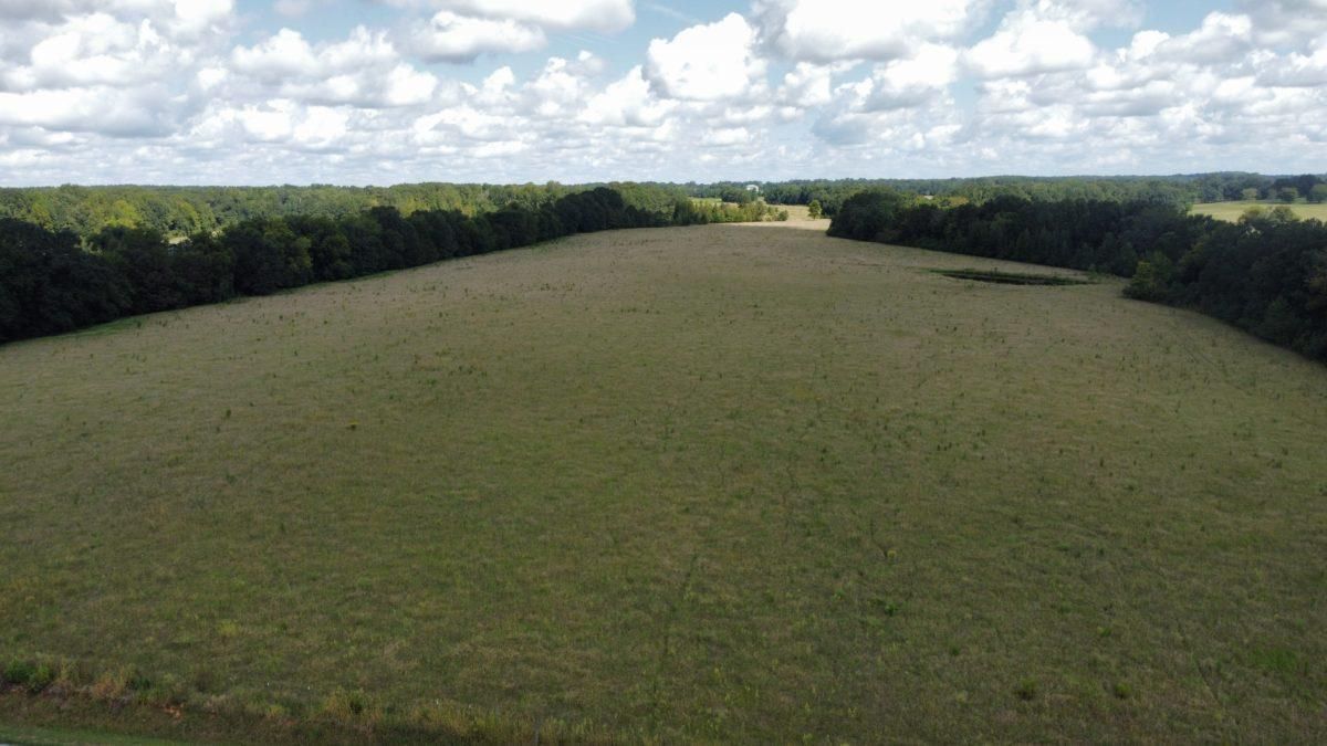 40 Acres, +/ 40 Acres, Madison County, MS, Jackson, MS 39146 Land