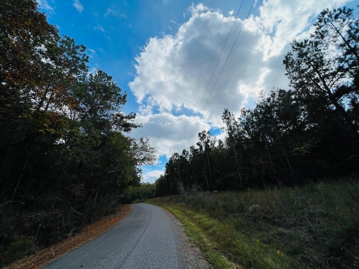 9 Acres, Simpson County, MS, Magee, MS 39114 Land and Farm