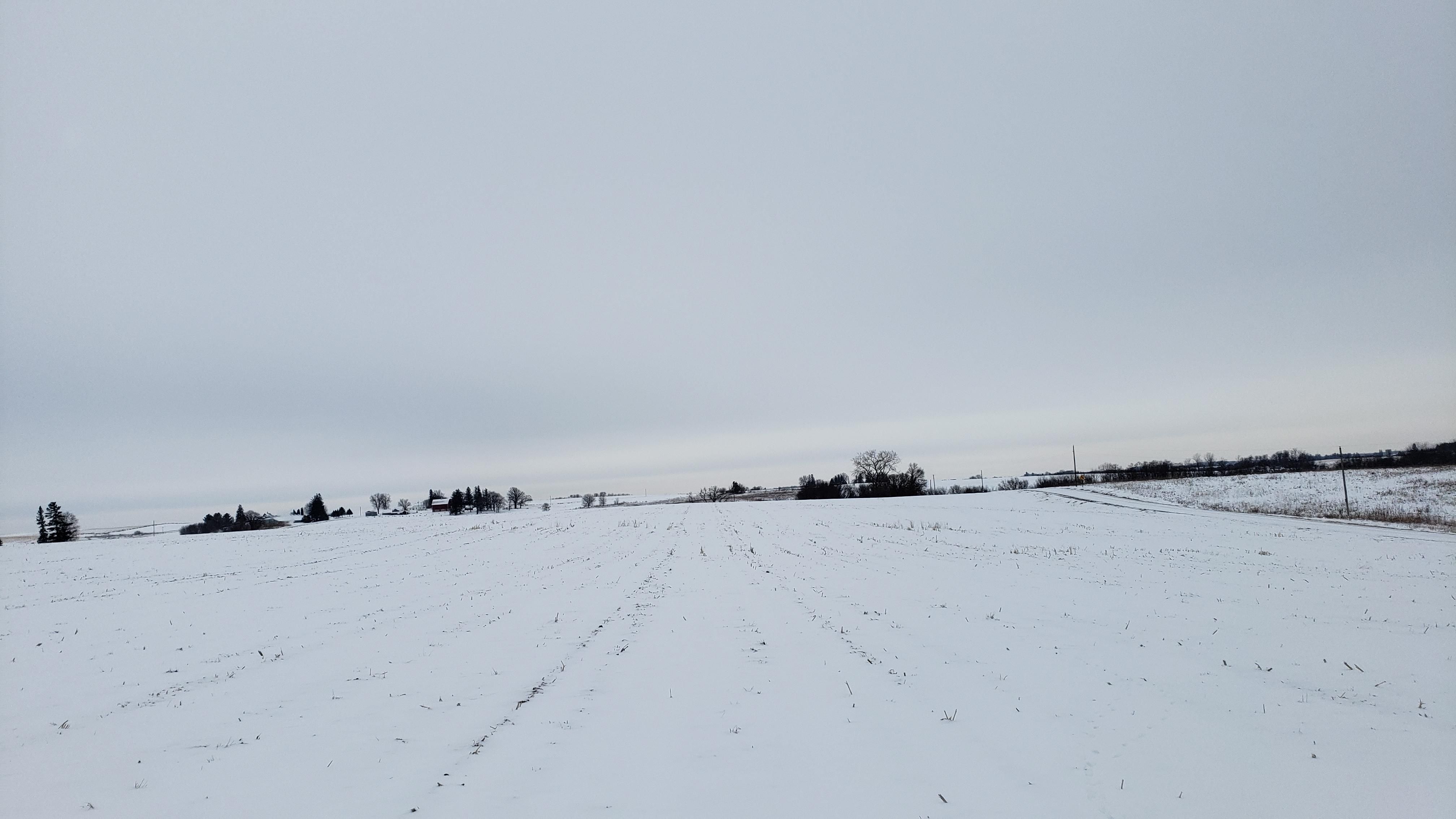 TBD 393rd Ave, Peterson, MN 55962 Land and Farm