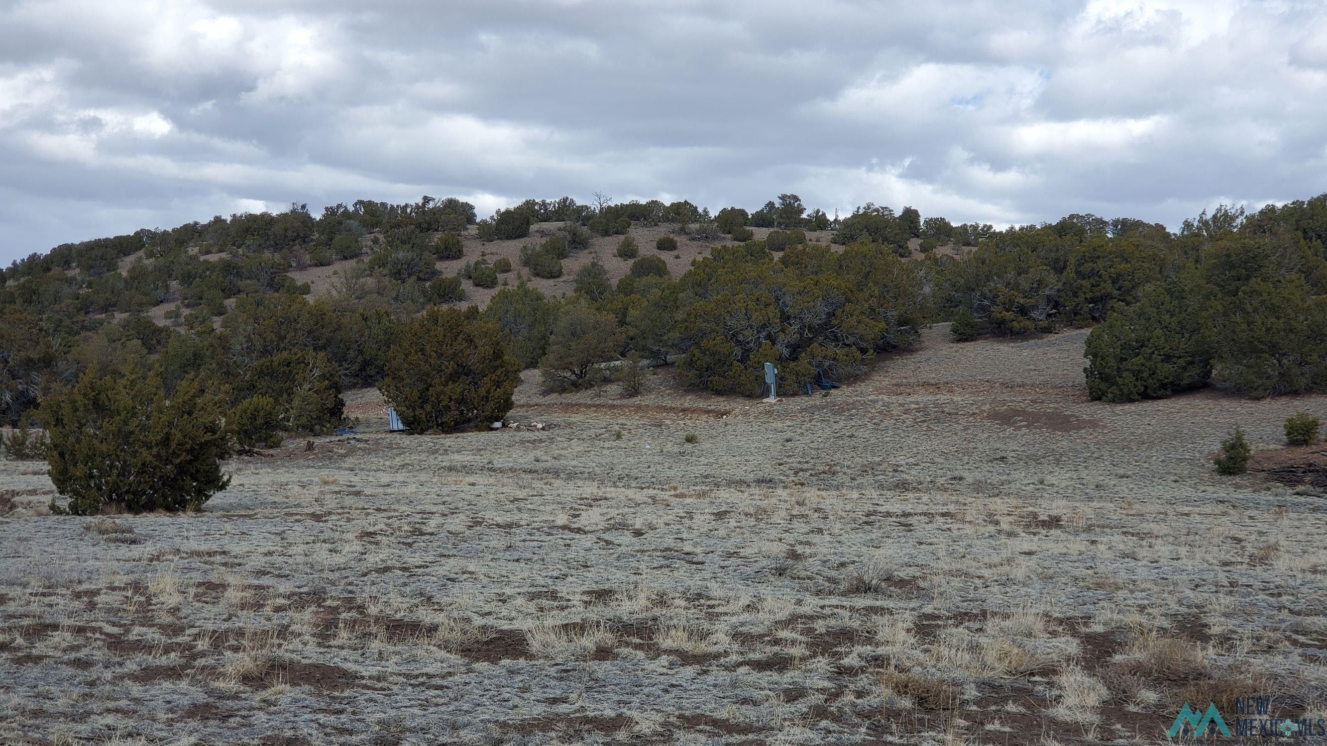 14.99 Acres, Pinon Heights, Quemado, NM 87829 Land and Farm