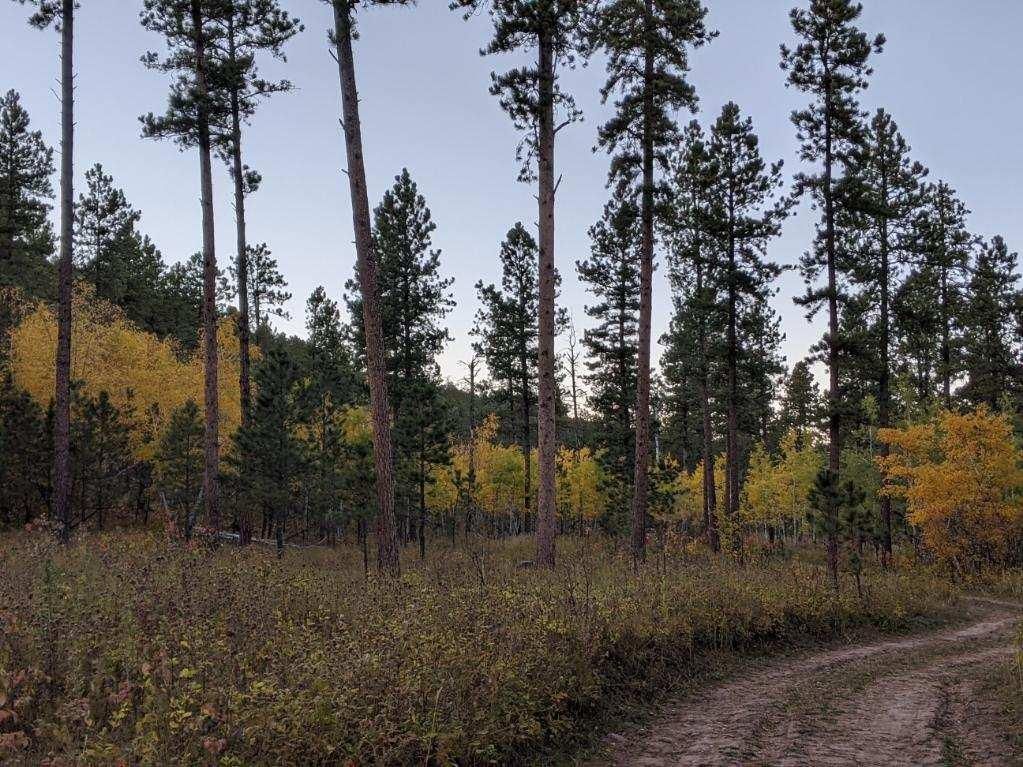 144.25 acres in Nemo, SD, 57732 Land and Farm