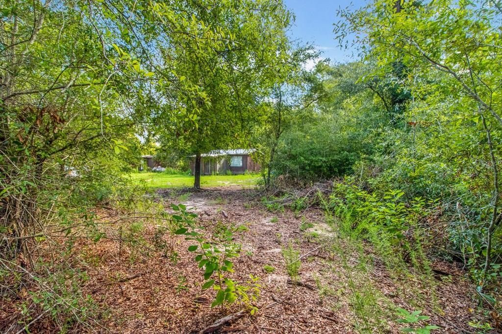 7 Acres, Gordon, AL 36343 Land and Farm